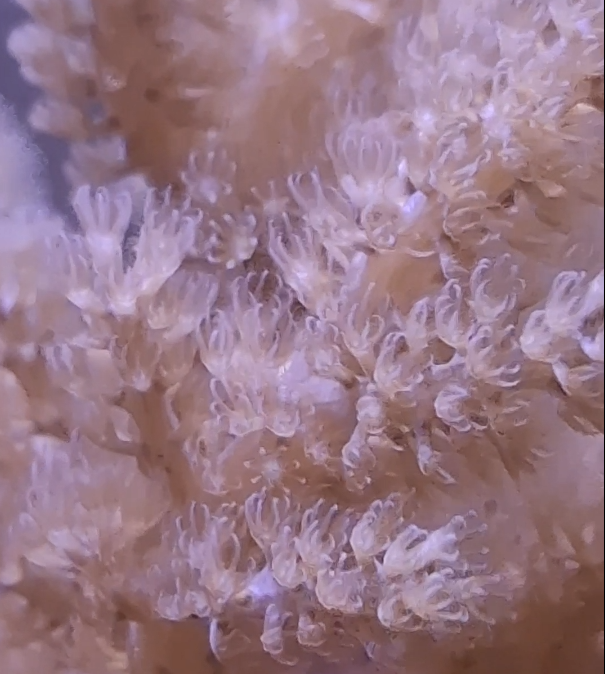 Screenshot 2026-03-17 005610.png