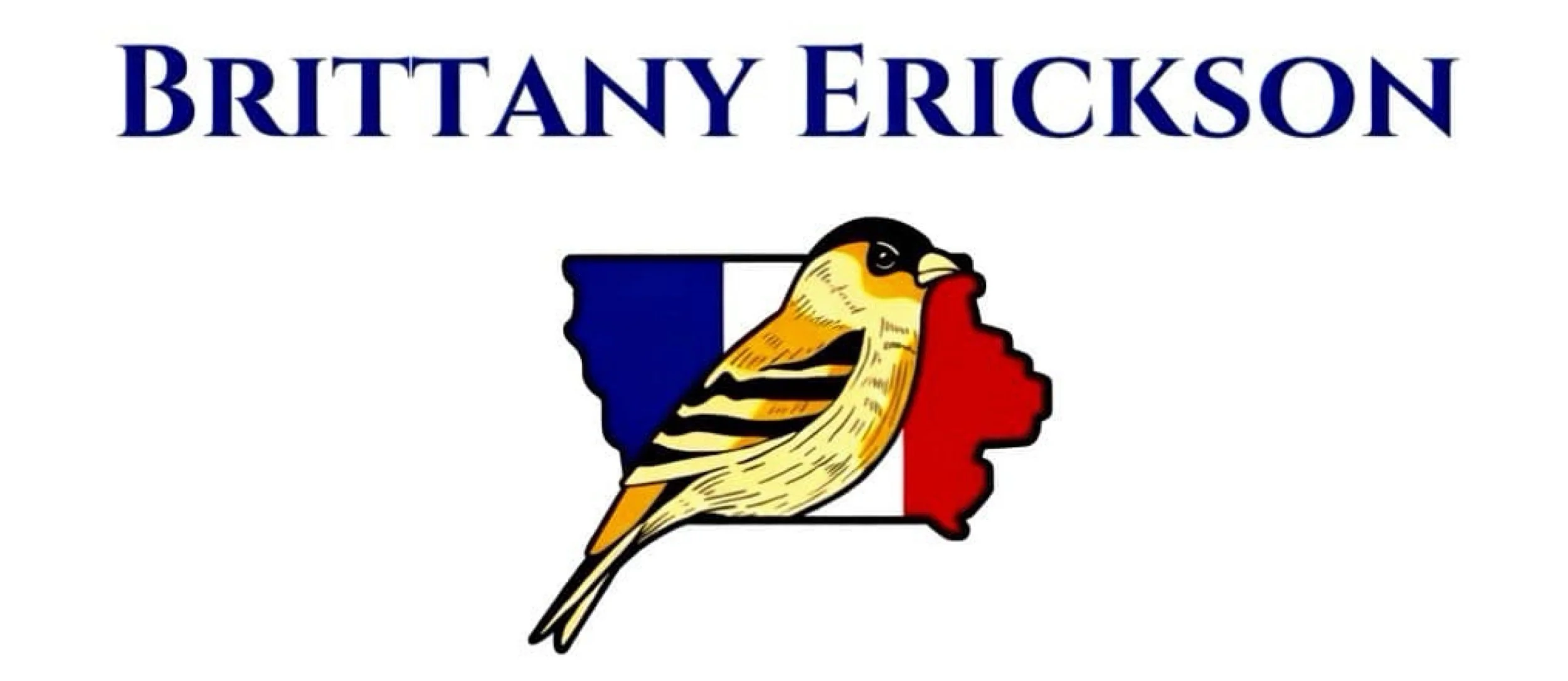 Logo of Brittany Erickson with a yellow bird in front of an outline of the United States filled in with the French flag colors.