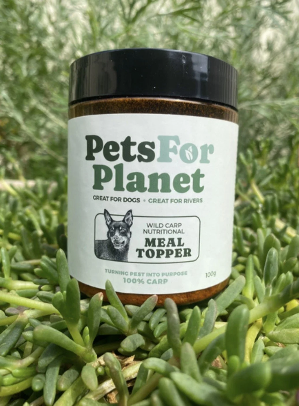 Wild Carp Nutritional Meal Topper