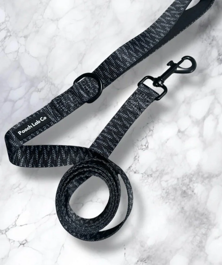 Thunderbolt Dog Lead