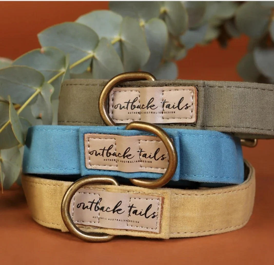 Waxed Canvas Dog Collar