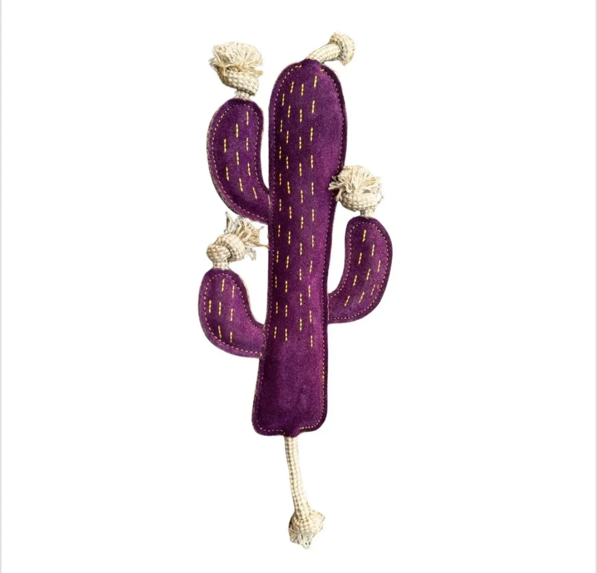 Purple Cactus Dog Toy