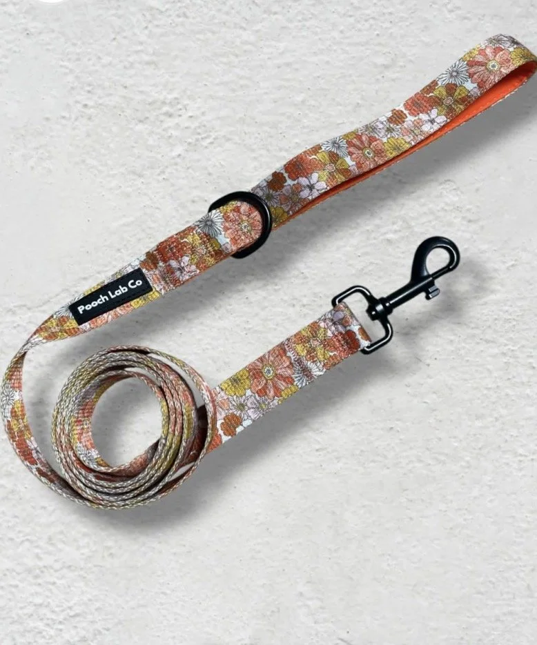 Autumn Floral - Dog Lead