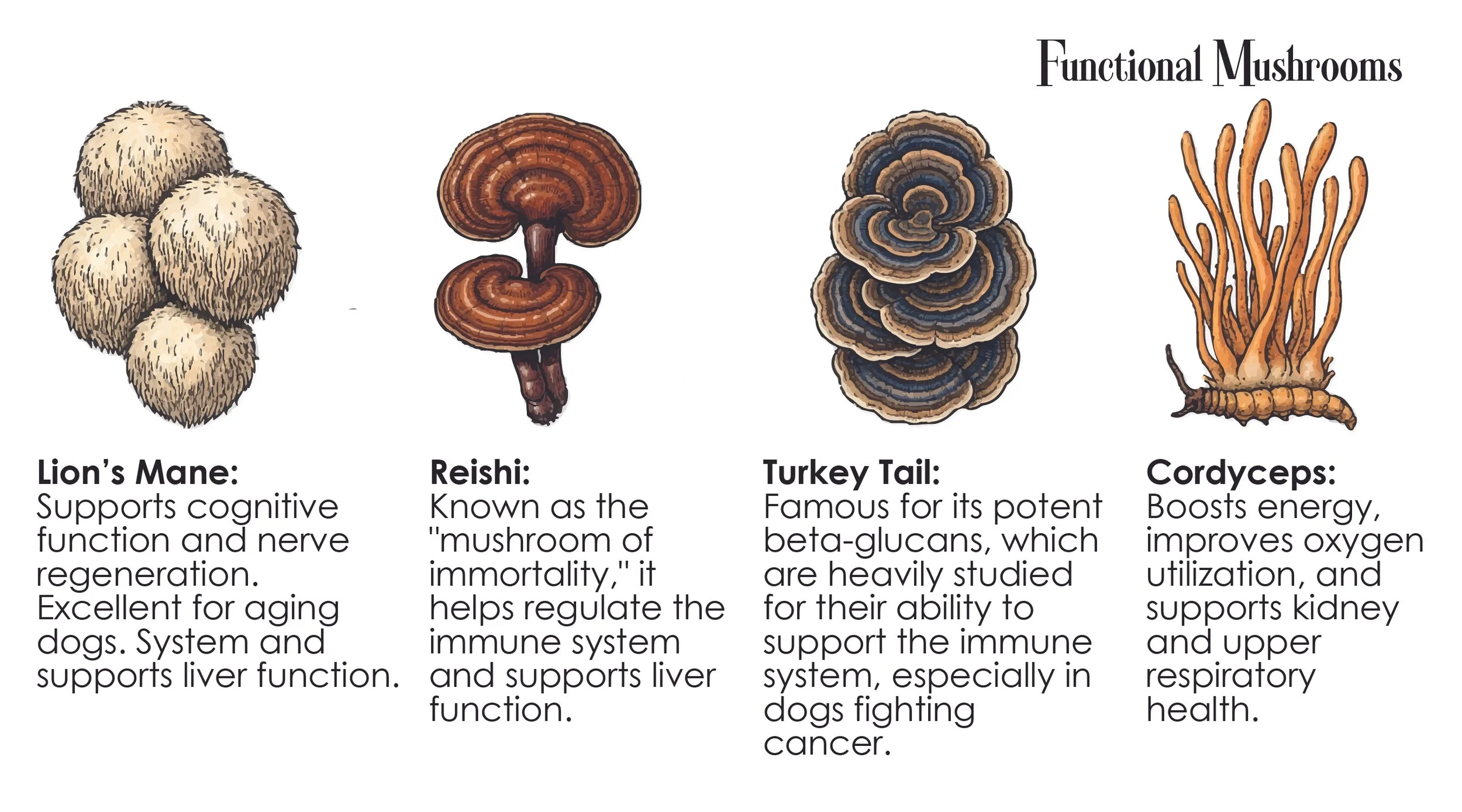 CHESTERS PRODUCT BENEFIT CARDS-08.jpg