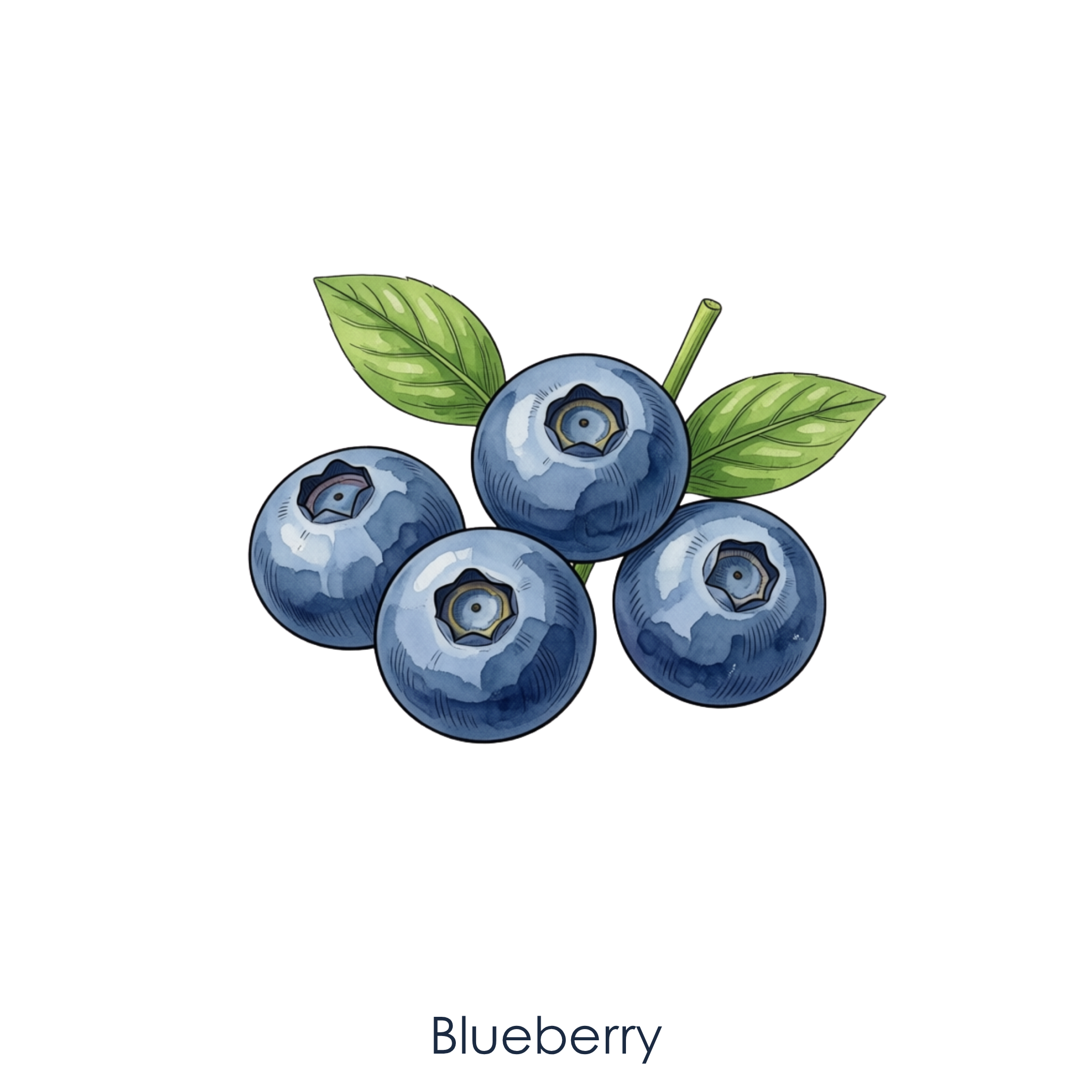 Blueberry.png
