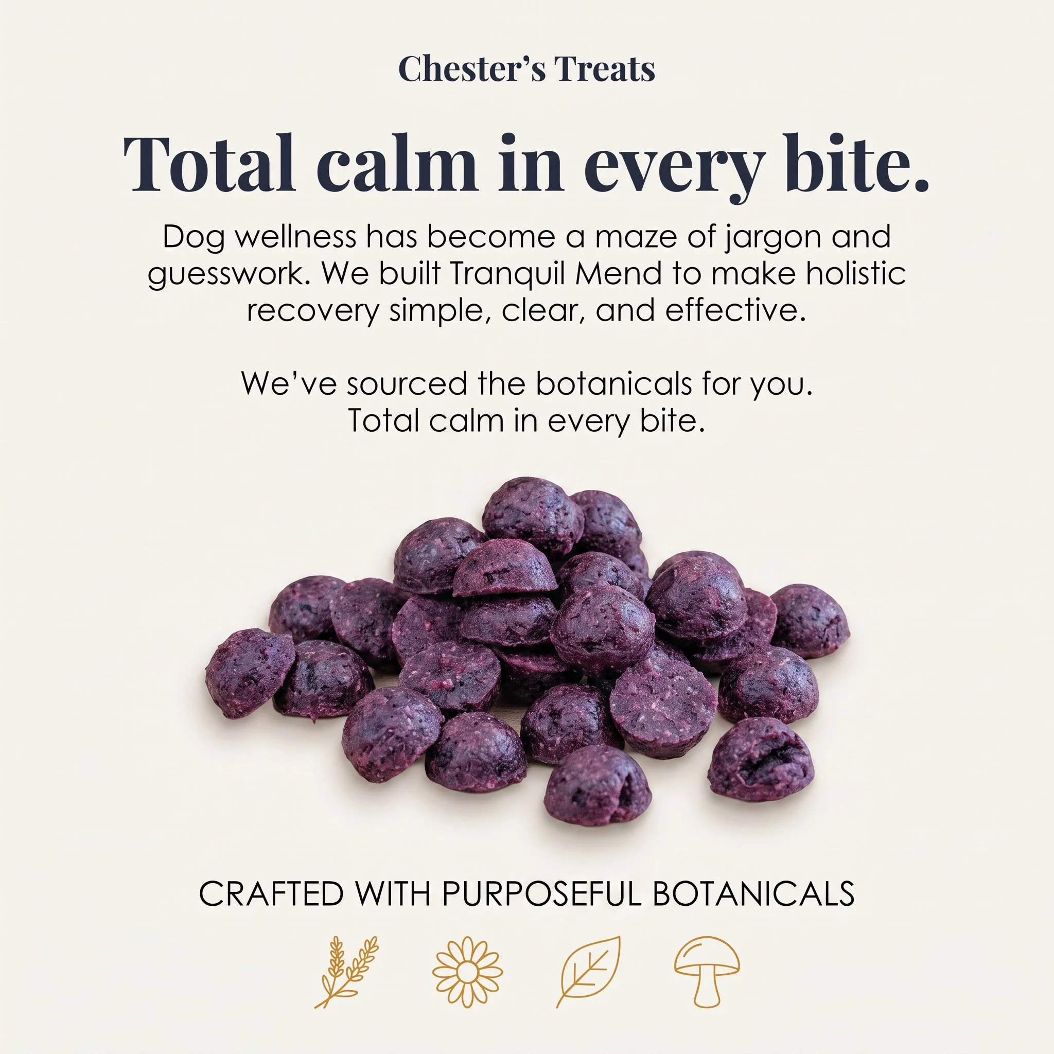 Text on a beige background promoting Chester’s Treats: 'Total calm in every bite. Dog wellness has become a maze of jargon and guesswork. We built Tranquil Mend to make holistic recovery simple, clear, and effective. We've sourced the botanicals for 