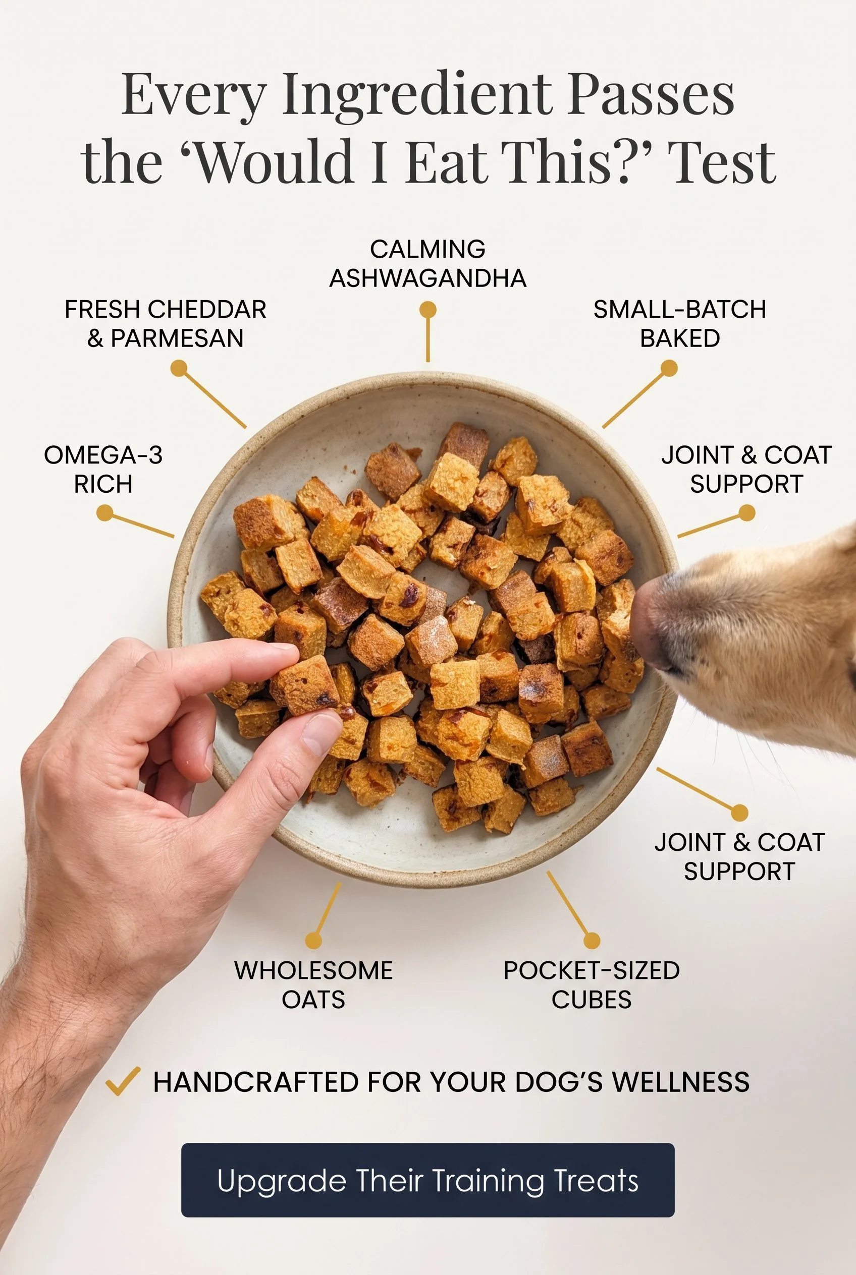 A bowl of small, square-shaped dog training treats, with several hand-held to show size, surrounded by text highlighting ingredients like whole oats, fresh cheddar and parmesan, calming ashwagandha, omega-3, and joint support, with a message indicati
