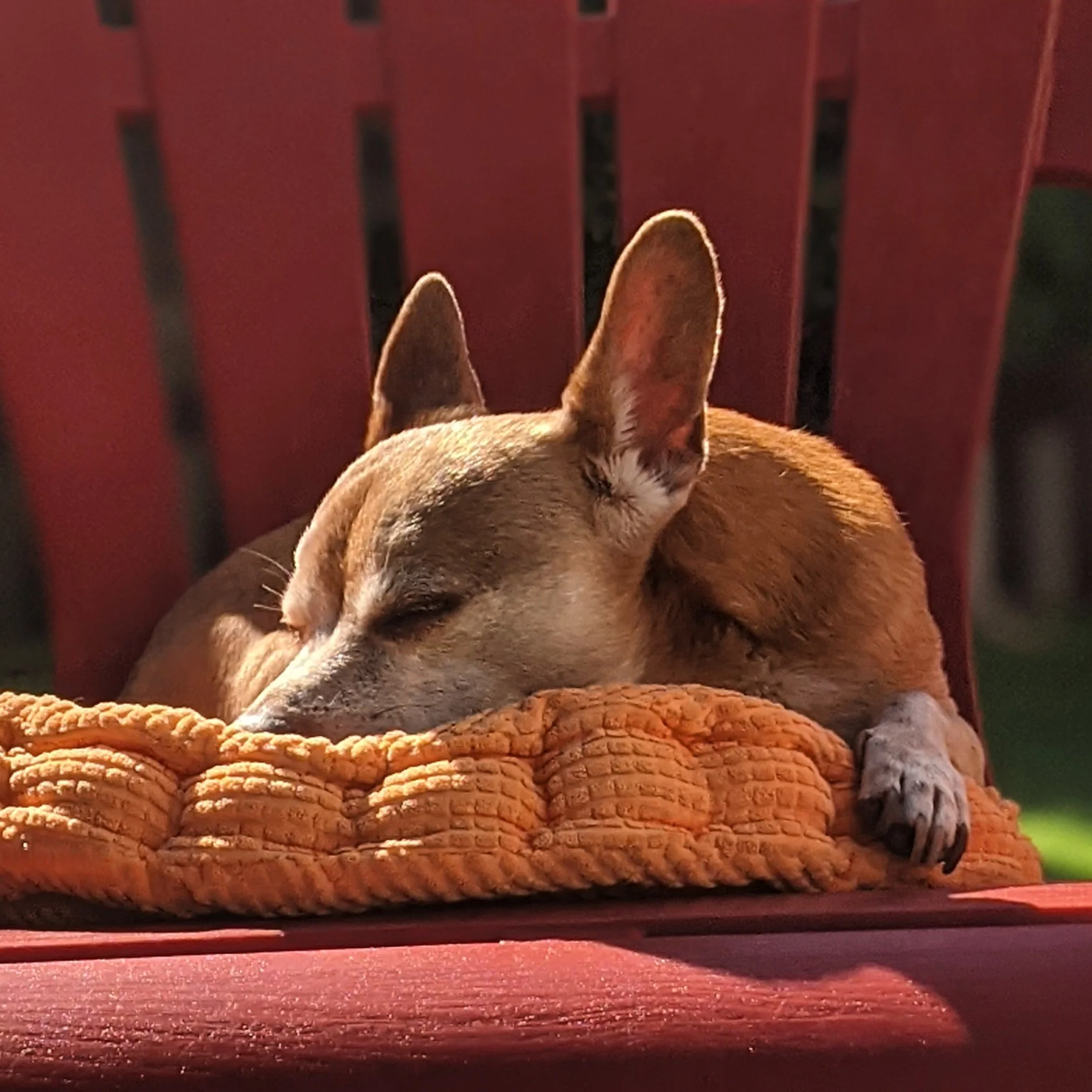 The Weight of the "Silent House"