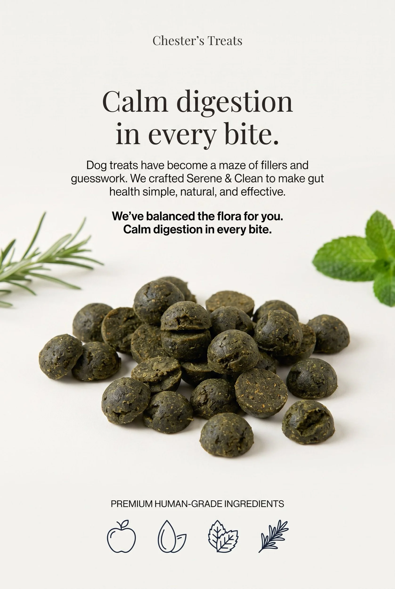 Chester's Serene & Clean Biscuits with Natural Super Greens for Digestive Detox and Immune Support