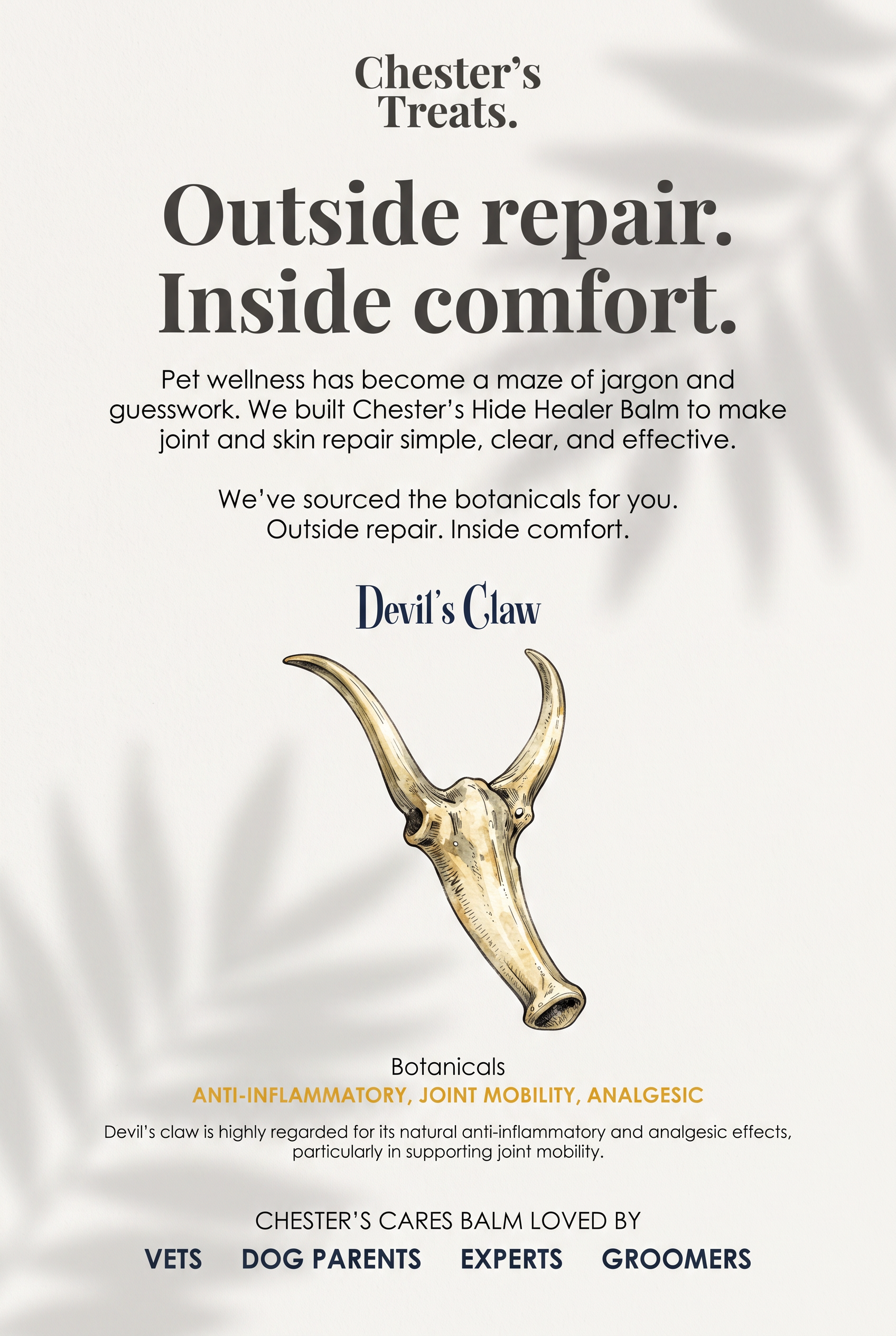 A promotional flyer for Chester's Treats pet balm featuring a detailed illustration of a deer skull with antlers, emphasizing natural anti-inflammatory, joint mobility, and analgesic properties, with bold headings and supporting text.