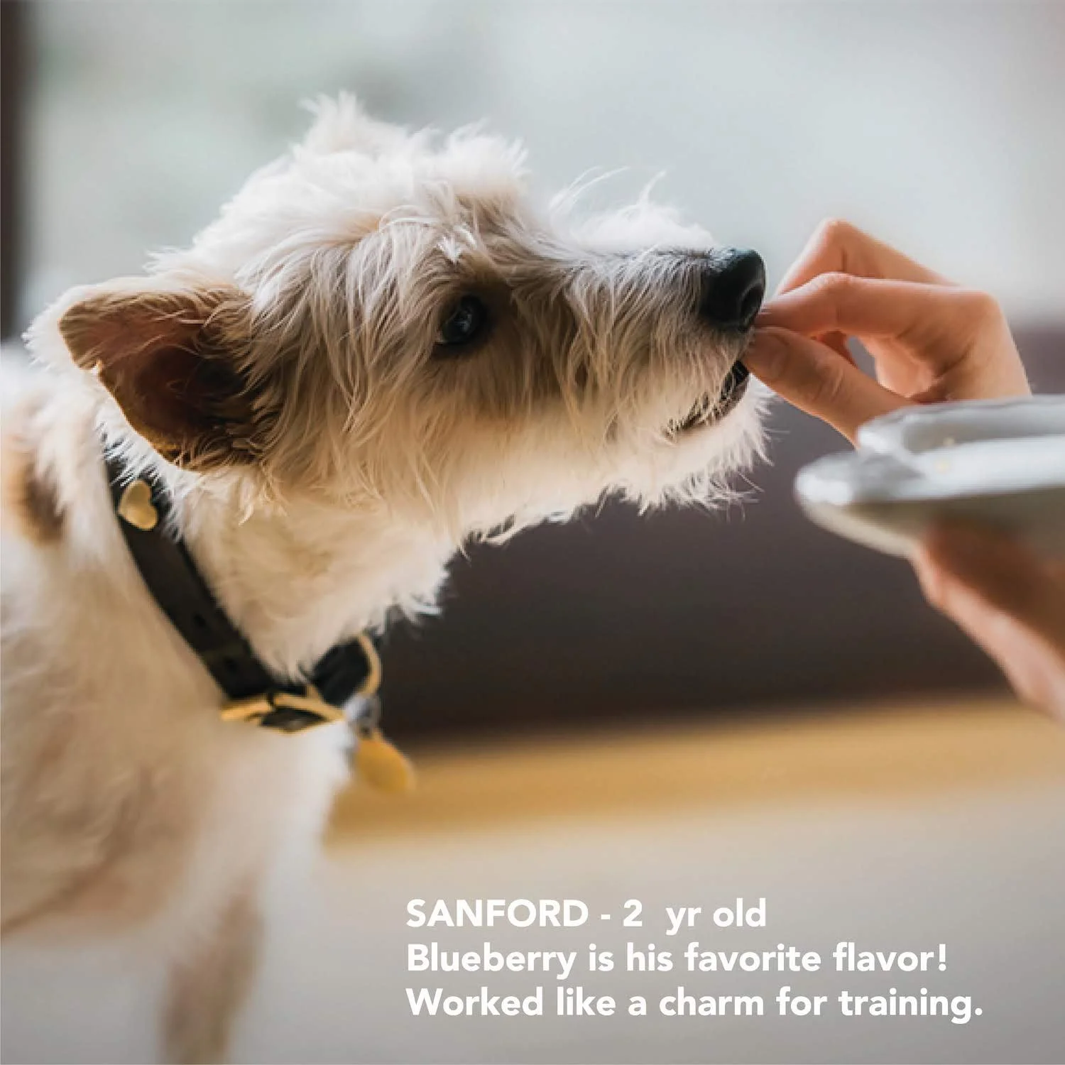 CHEWS CATELOG JAN 2020 FINAL.pdf -08.jpg