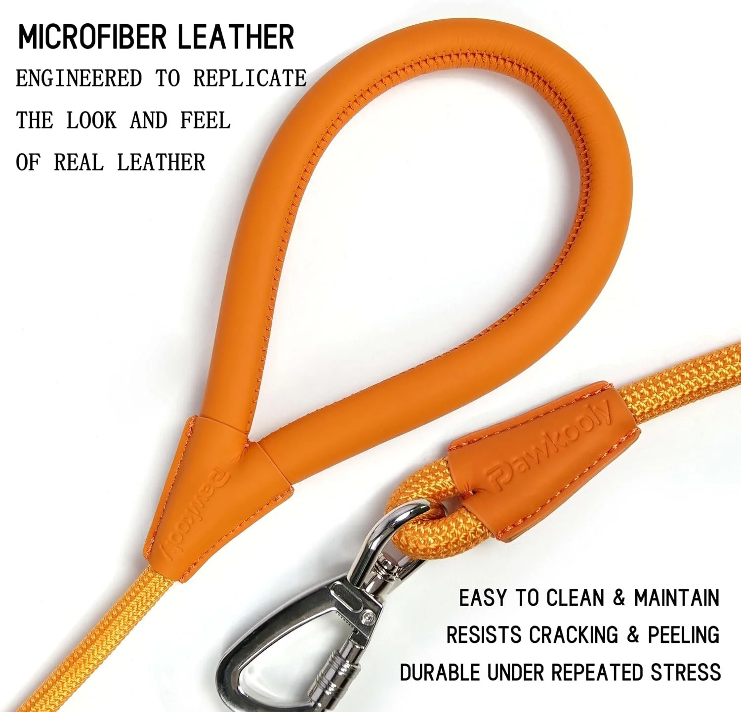 Chesters Orange Leash c.jpg