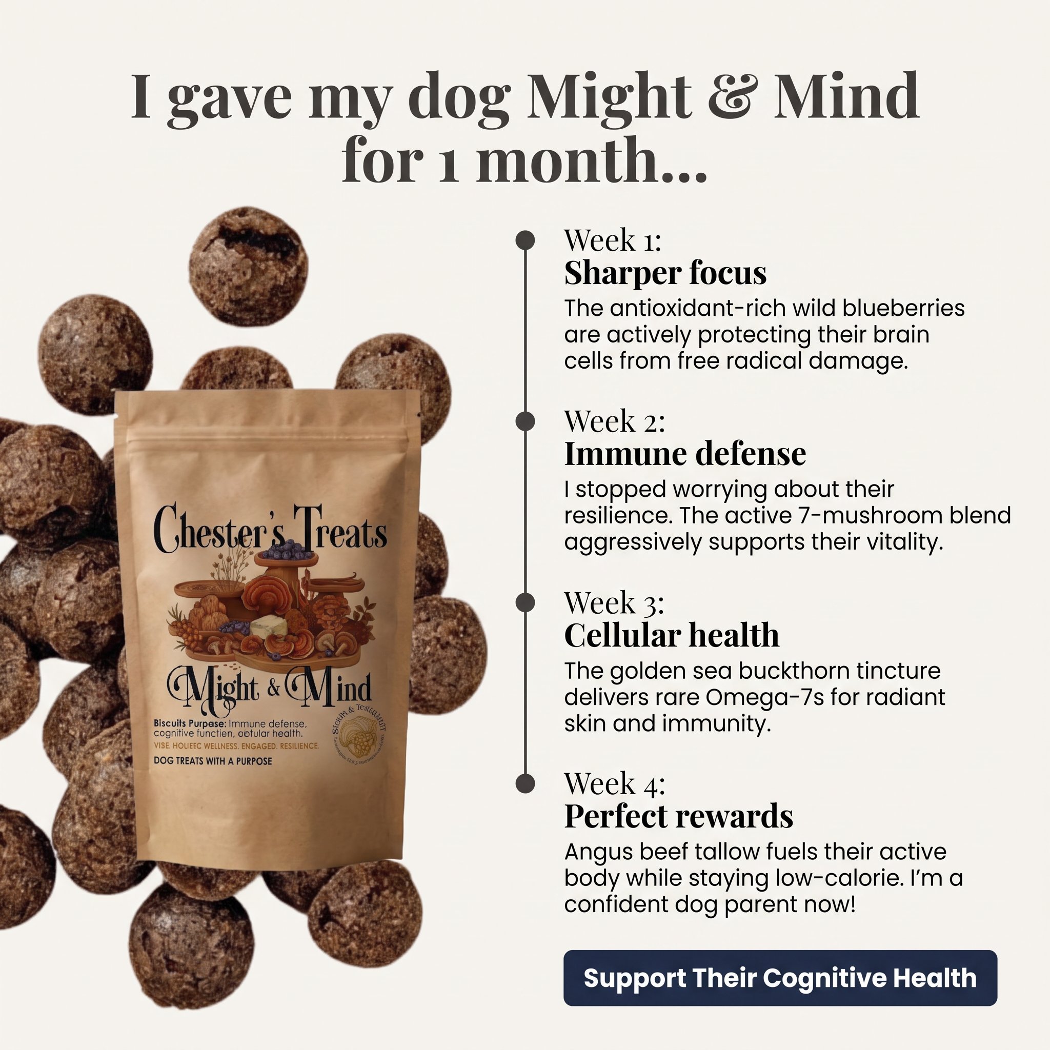 A collection of dark chocolate dog treats in a paper bag labeled 'Chester's Treats' with a background of chocolate treats. The image accompanies a health-focused dog treat guide with weekly health tips.