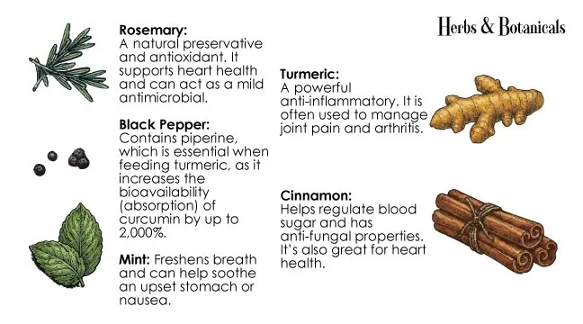 Support your dog’s joints and anxiety naturally. Our guide covers Turmeric, Ashwagandha, and Ginger for inflammation relief and motion sickness support.