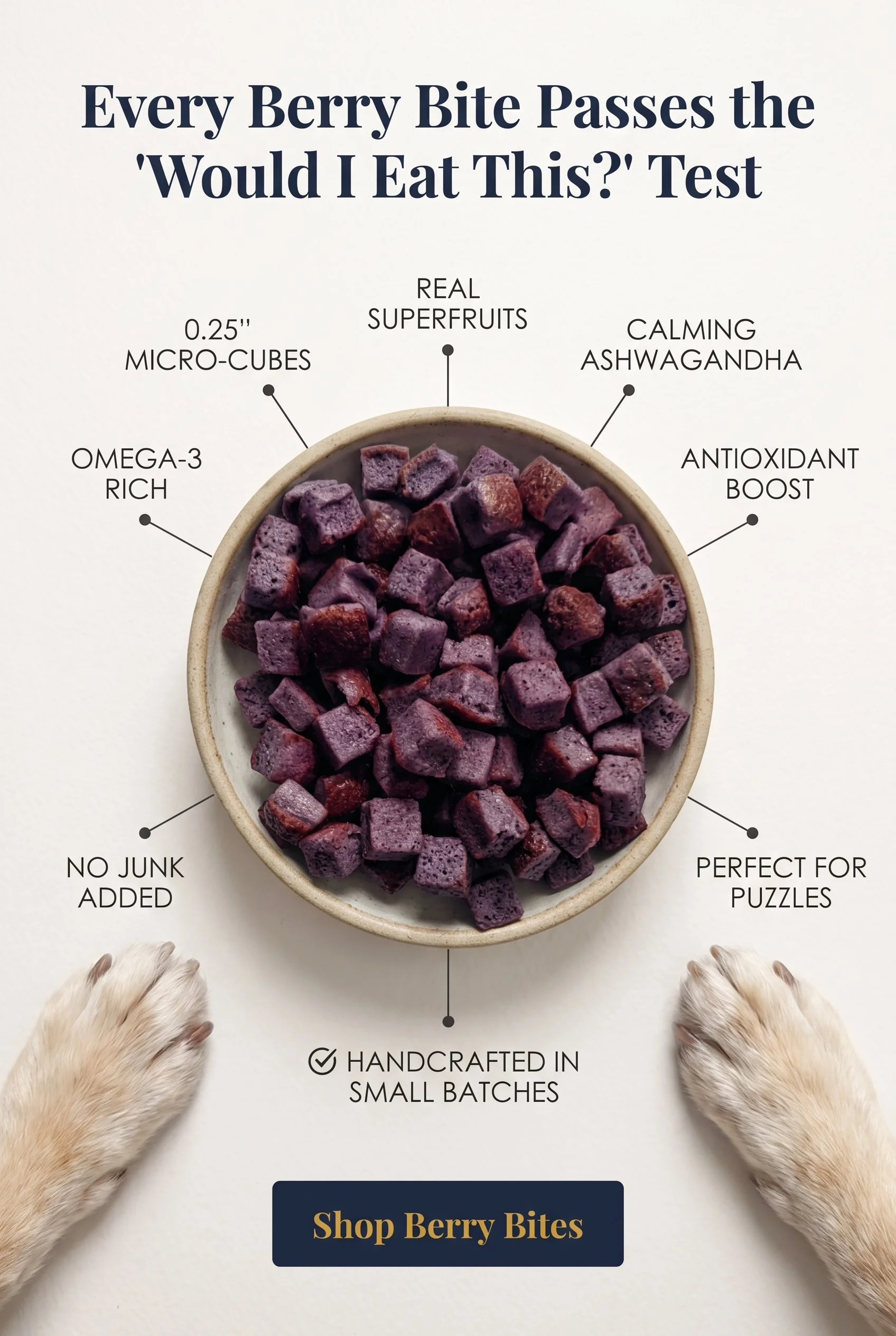 Image of a bowl filled with purple berry bites, with text highlighting their features such as small size, real superfoods, calming ashwandha, antioxidant boost, no junk added, handcrafted in small batches, and perfect for puzzles. Hands of a dog or a