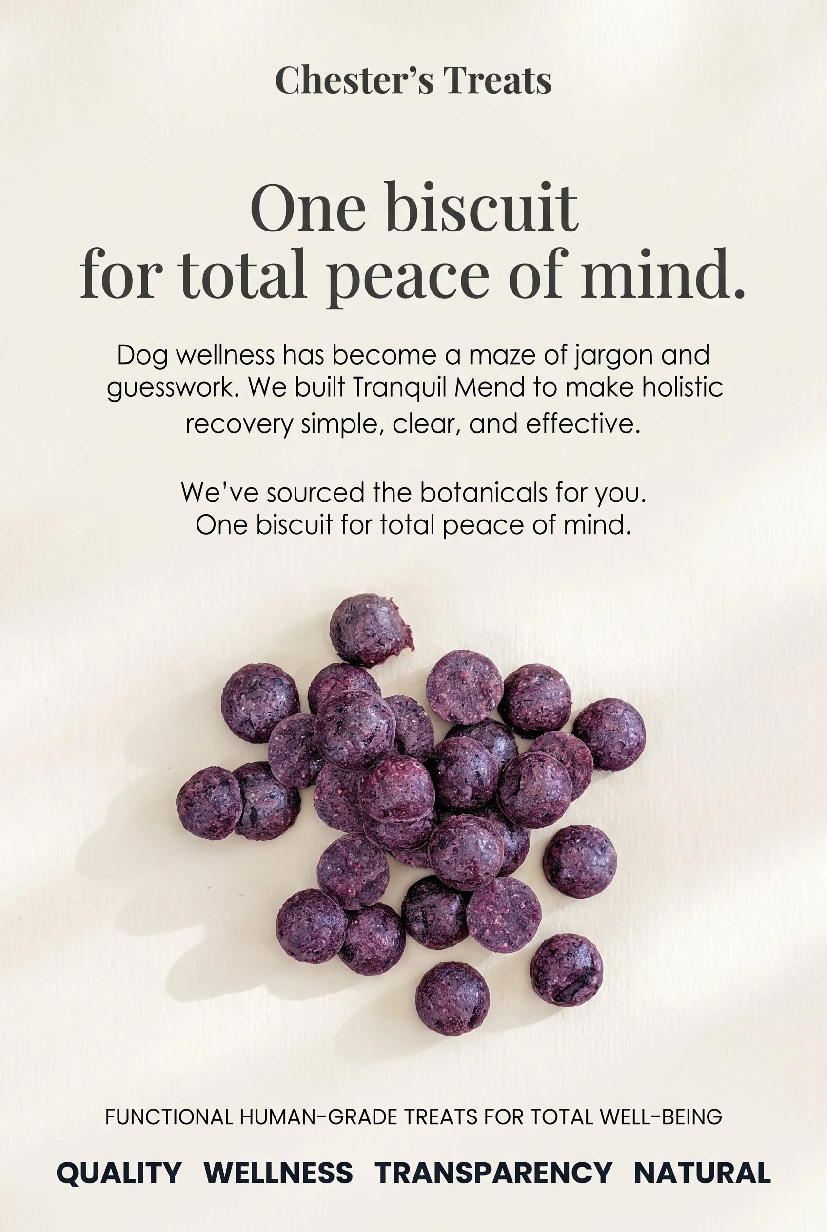A promotional flyer for Chester's Treats featuring an array of purple blueberries and text emphasizing quality, wellness, transparency, and natural ingredients.