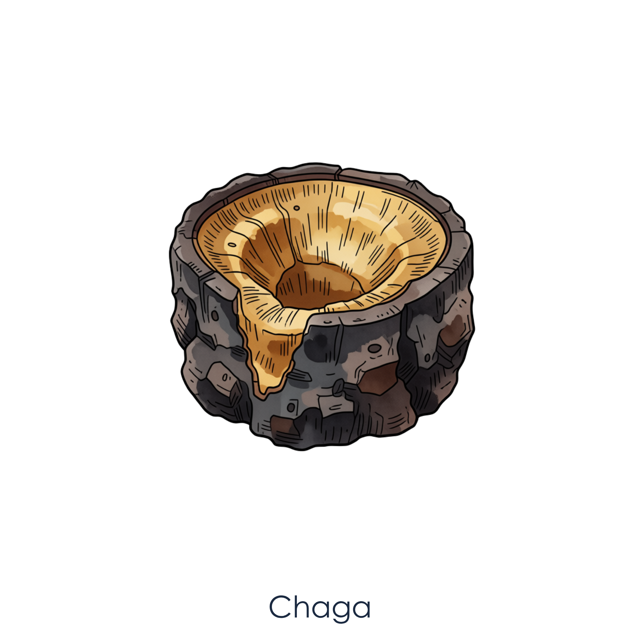 Chaga Mushroom.png