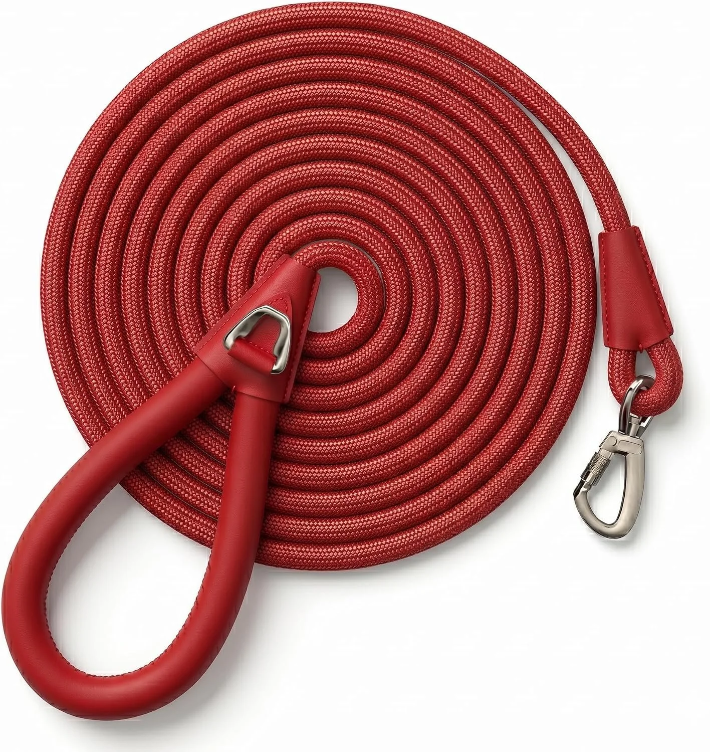 Chesters Red Leash.jpg