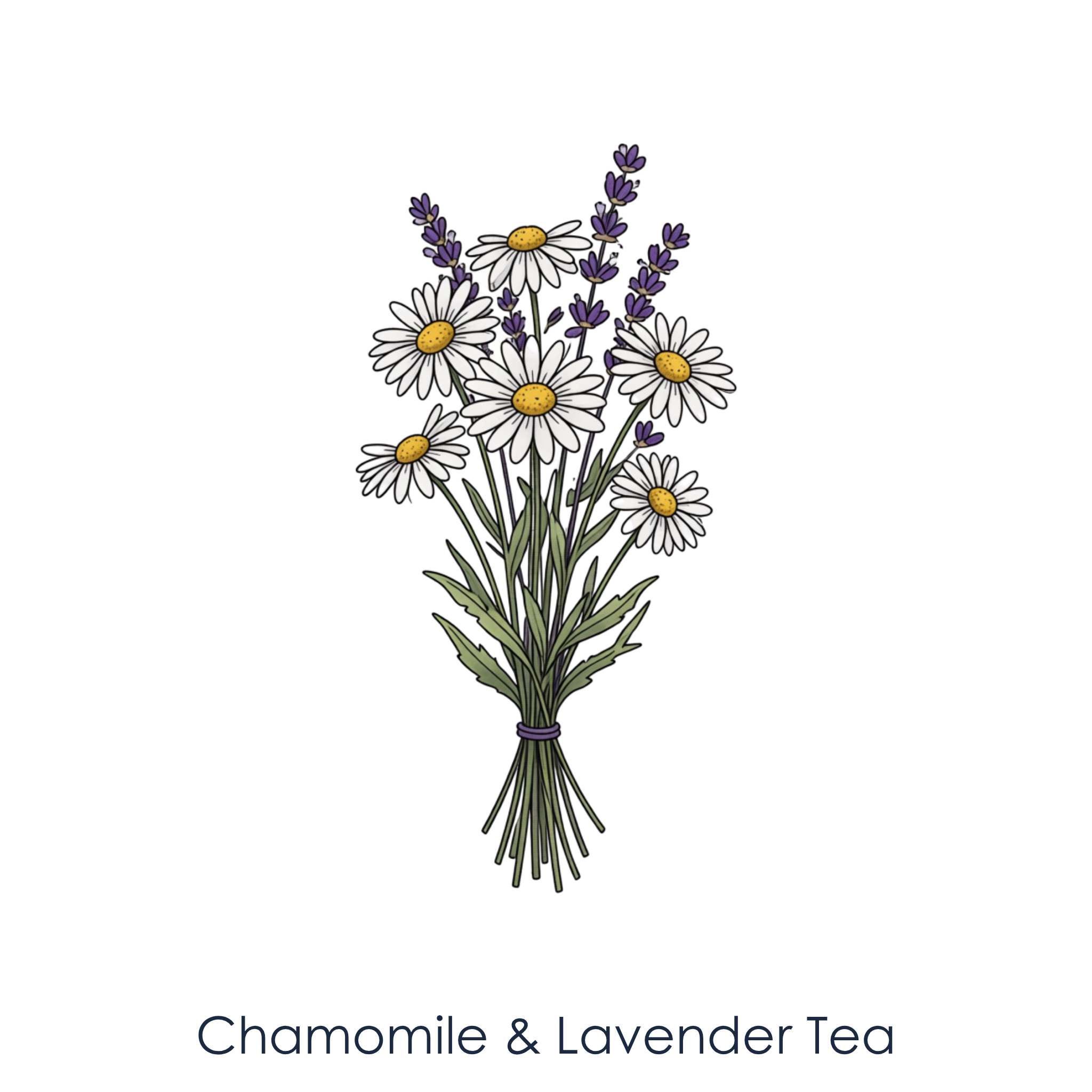 Chamomile & Lavender Tea.png