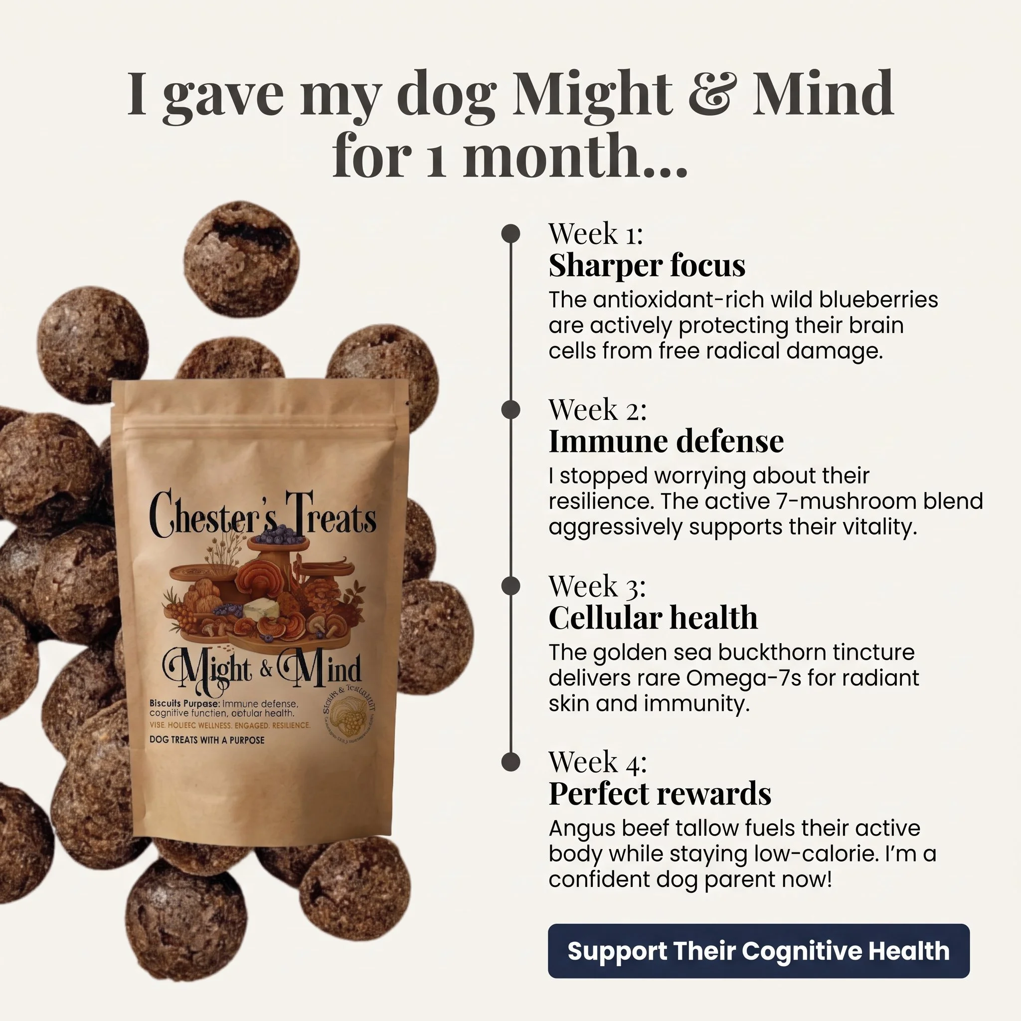 Package of Chester's Treats dog treats with a beige background, decorated with pictures of blueberries and various mushrooms, emphasizing health benefits such as immune support, cognition, and cellular health.