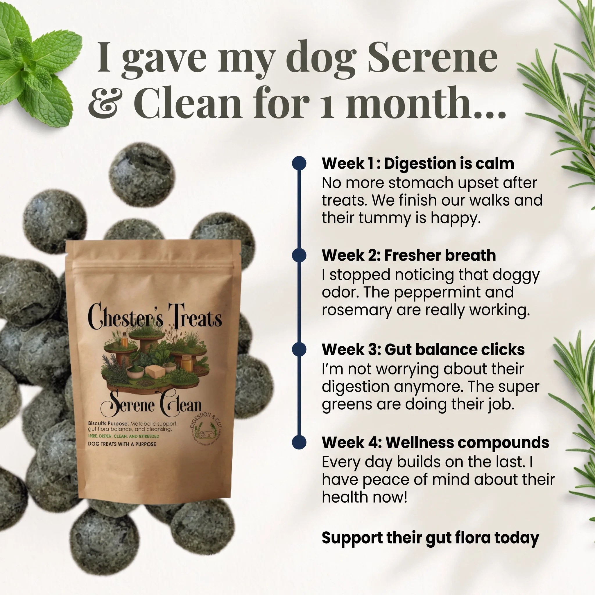 Infographic about a four-week dog health plan titled "Chester's Treats." The background features green herbs including mint and rosemary, along with a package of dog treats. The plan covers topics such as digestion, breath, gut balance, and wellness 