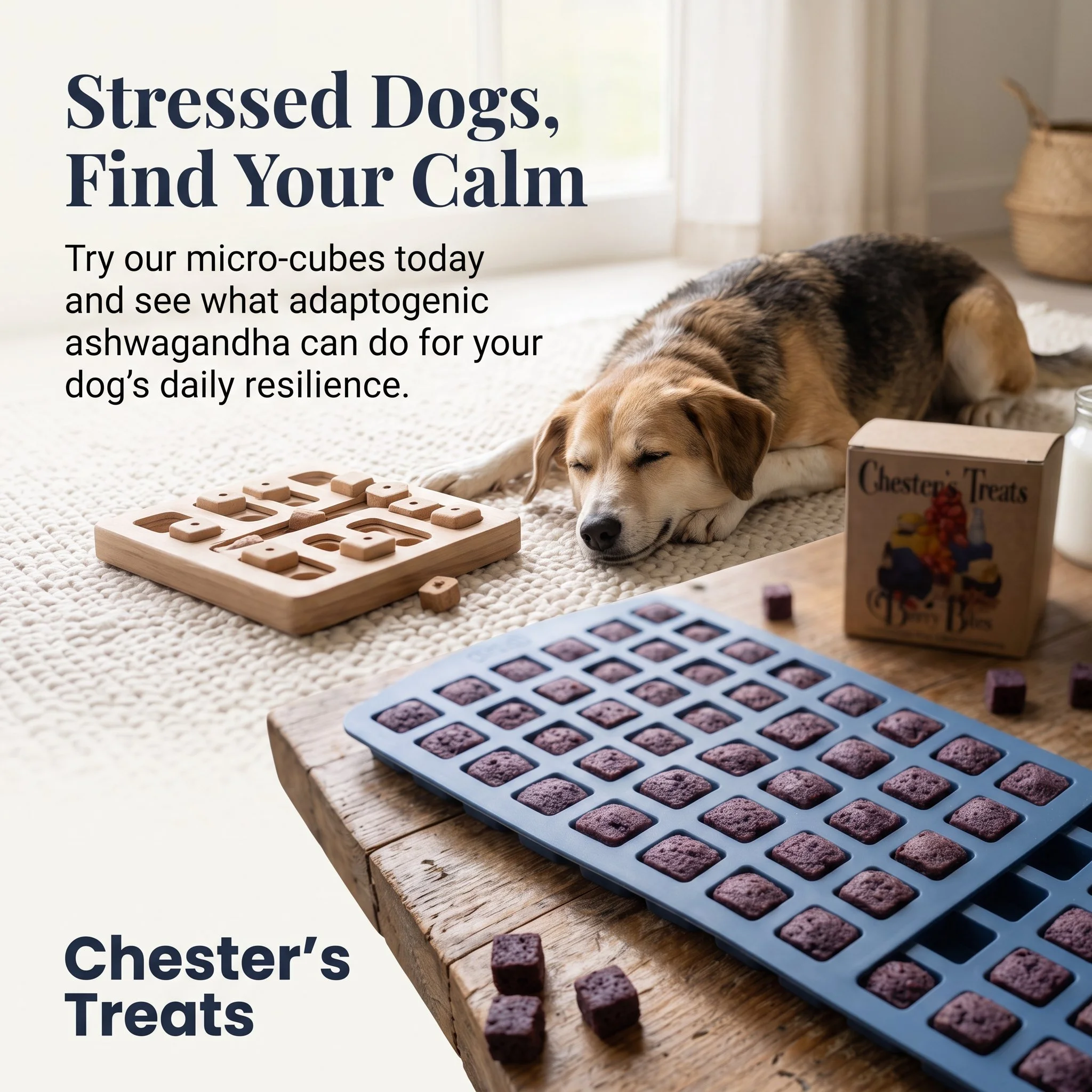 A dog lying on a carpet next to a wooden tray with purple-colored dog treats in a silicone mold and a box of Chester's Treats, near a window in a cozy room.