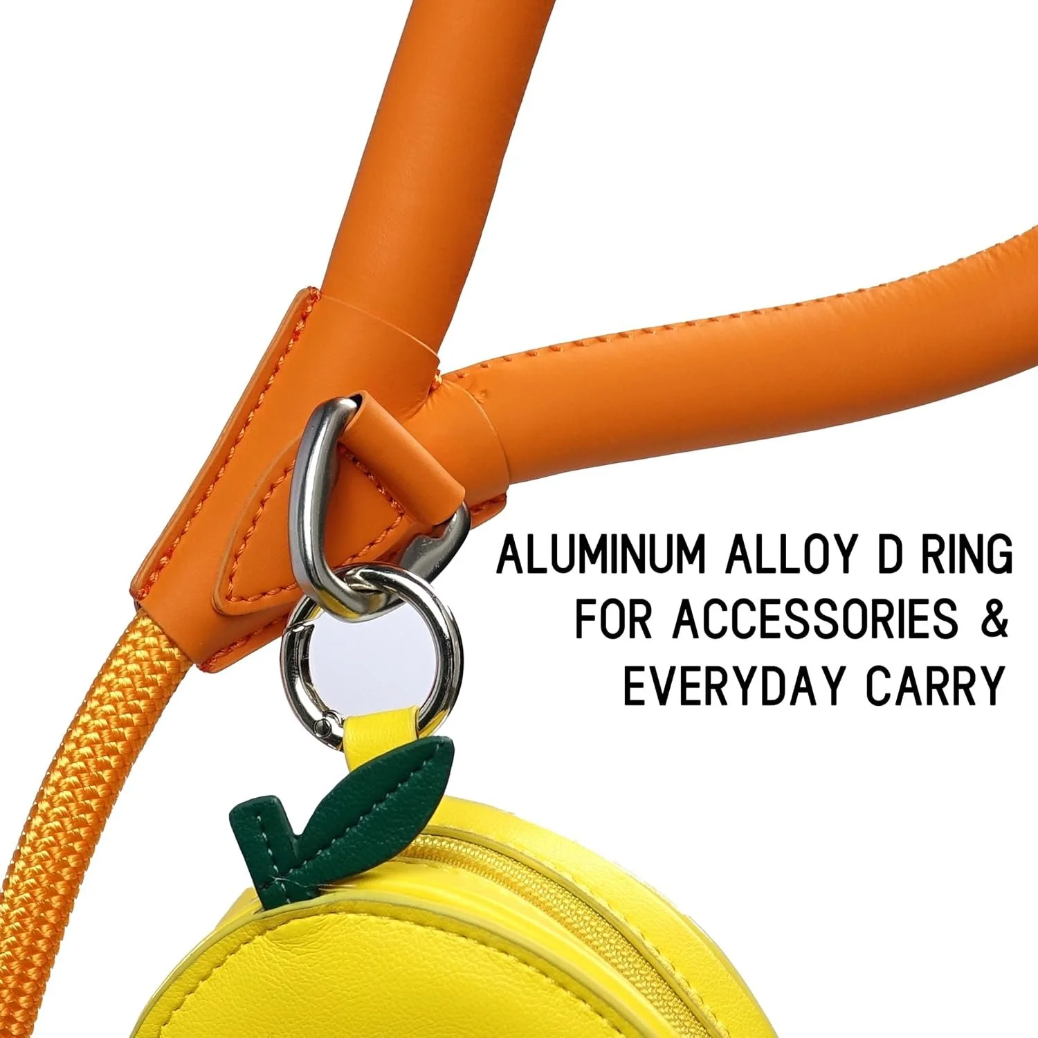 Chesters Orange Leash b.jpg