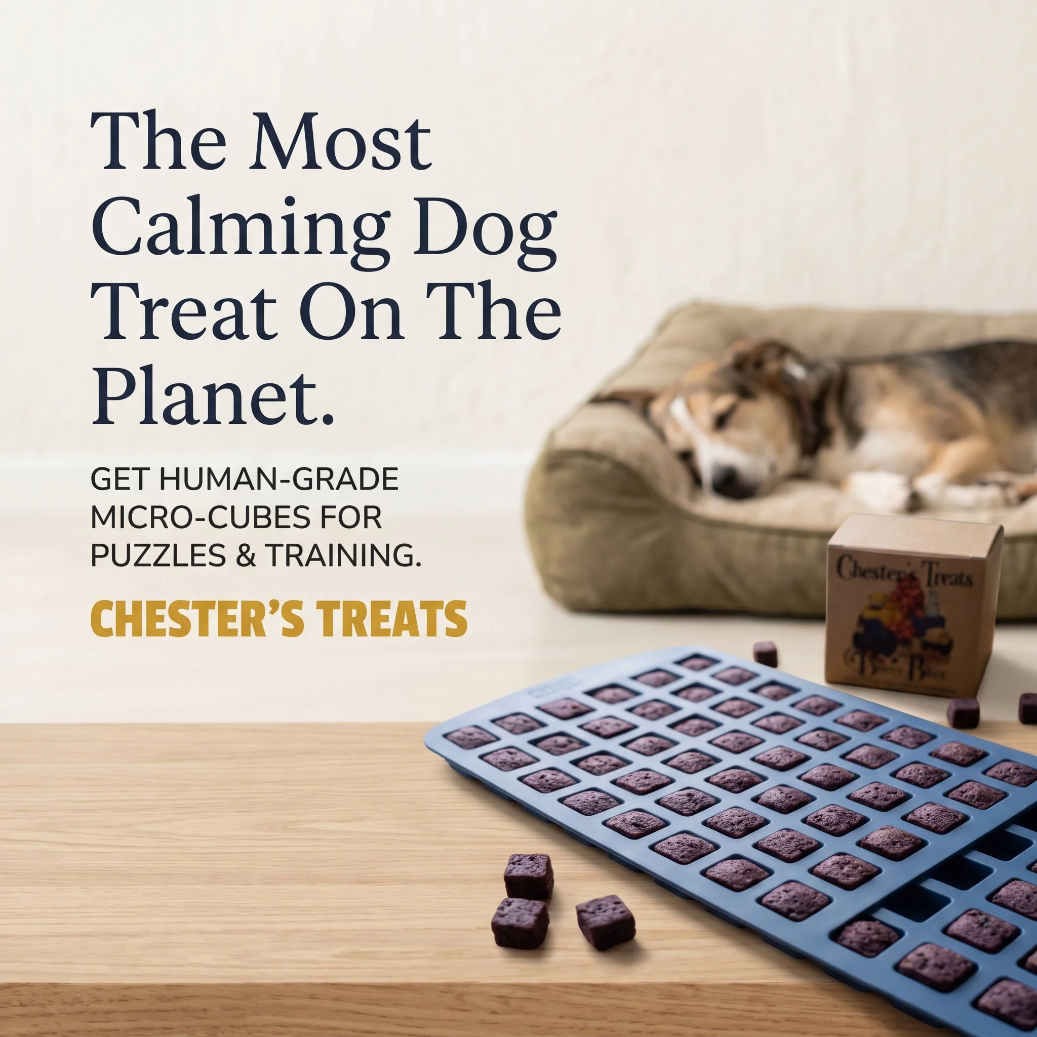 A silicone mold with purple dog treat pieces, a few treats are scattered on a wooden table, background includes a box of Chester's Treats and a foam tray with pictures of treats.