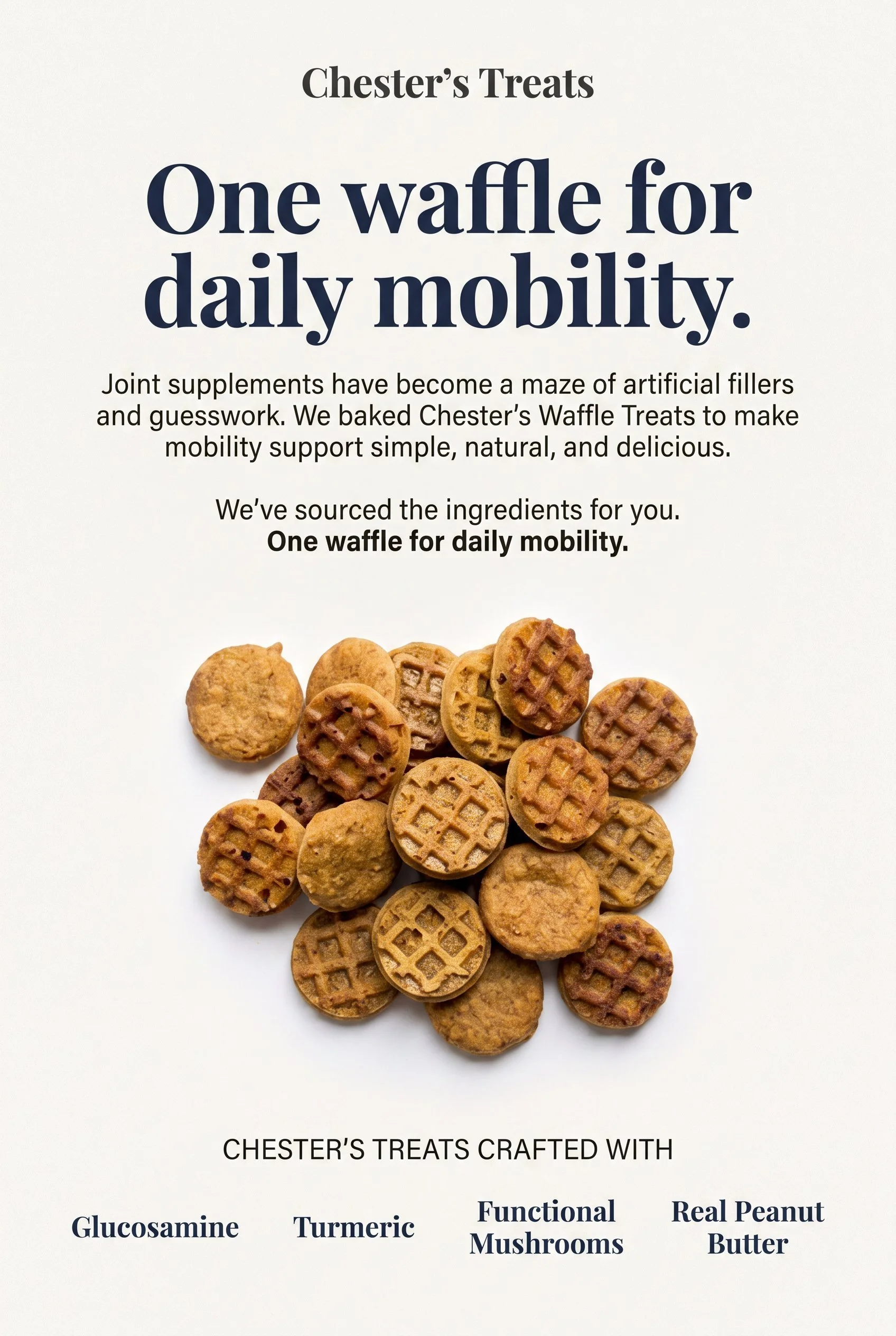 A promotional flyer for Chester's Treats featuring a collection of small, round, waffle-shaped treats at the bottom. The flyer highlights that the treats are crafted with ingredients such as glucosamine, turmeric, functional mushrooms, real peanut bu