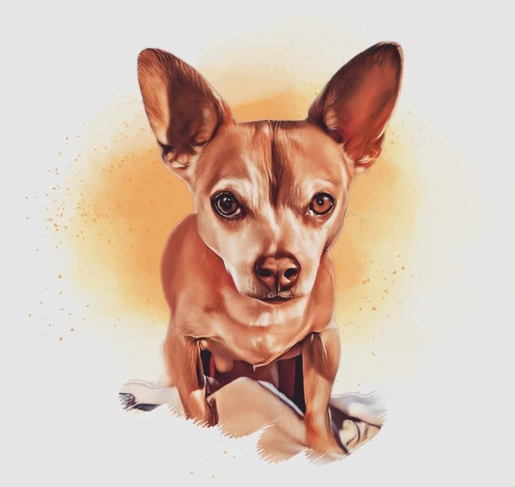 Chester for Chester's Treats (2008-2023)