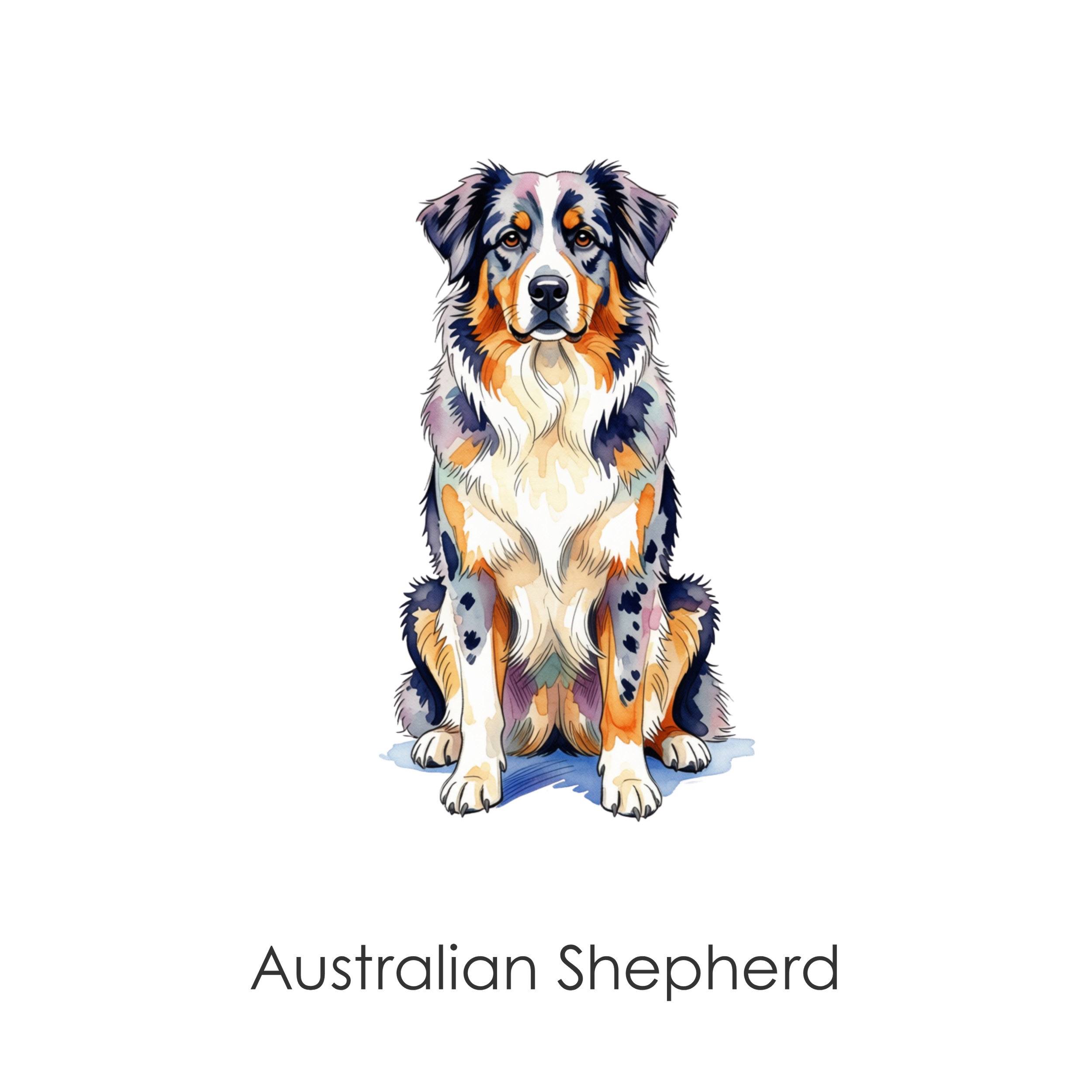 Australian Shepherd.png