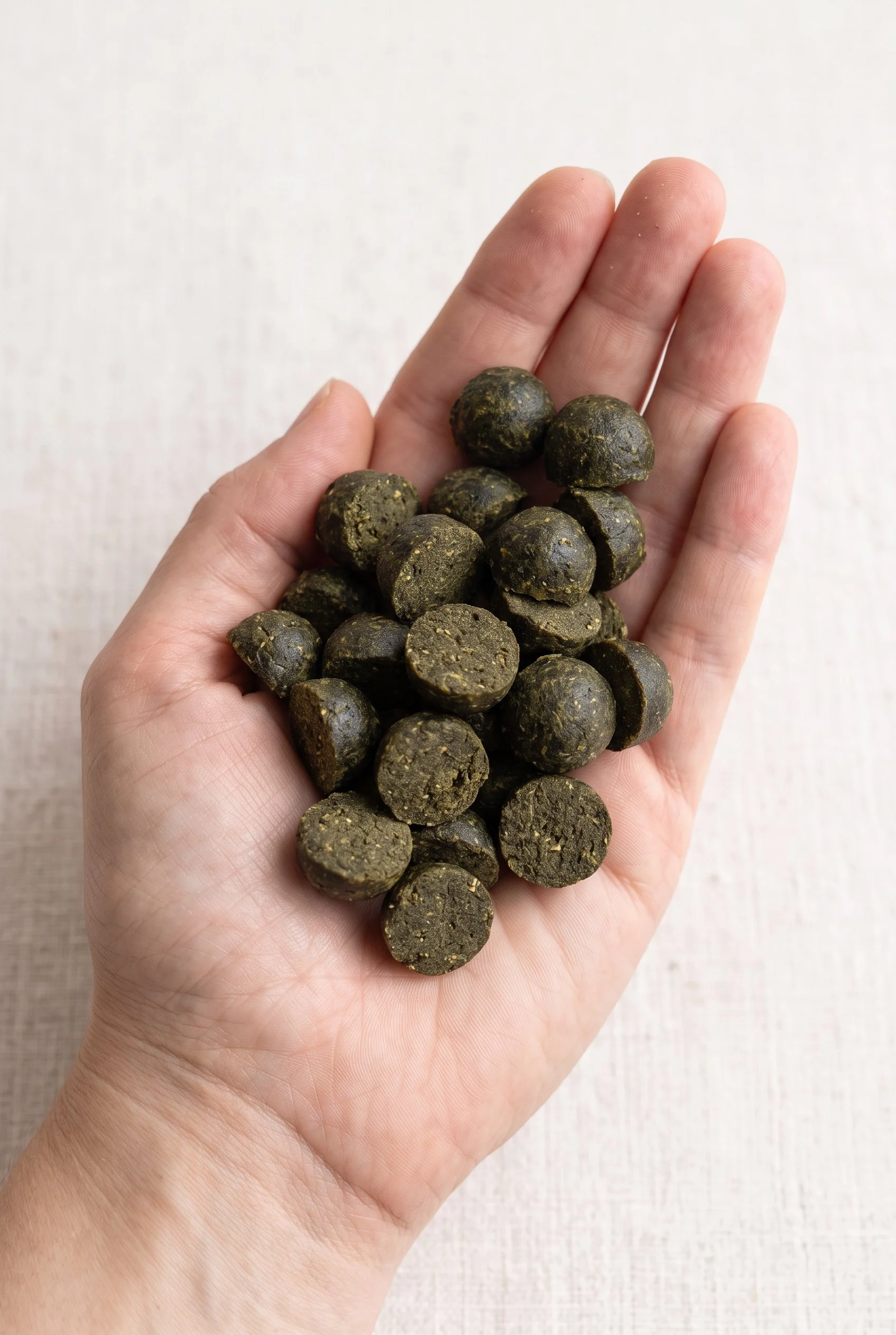 A person's hand holding several dark, round tablets with a speckled texture, against a light background.