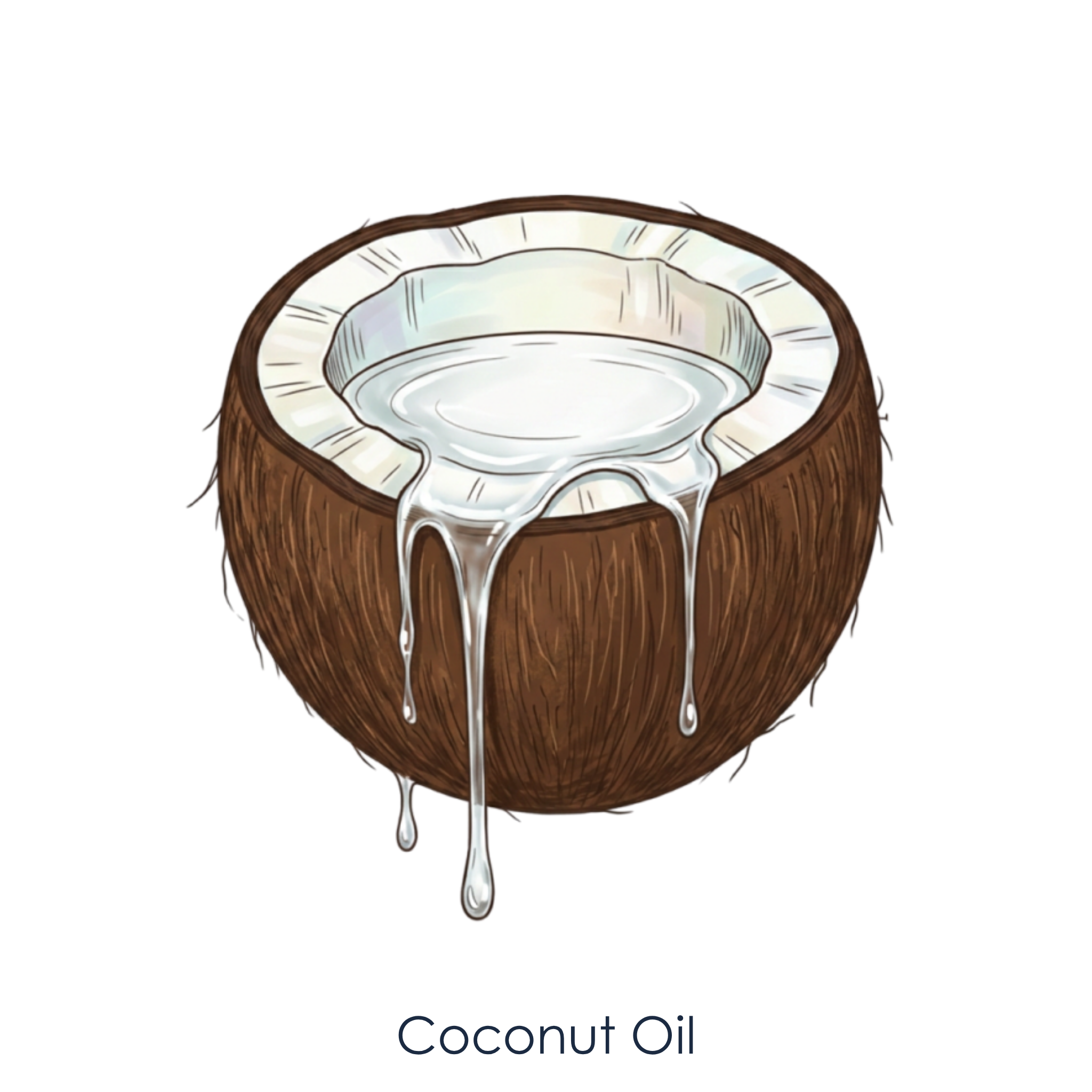 Coconut oil.png
