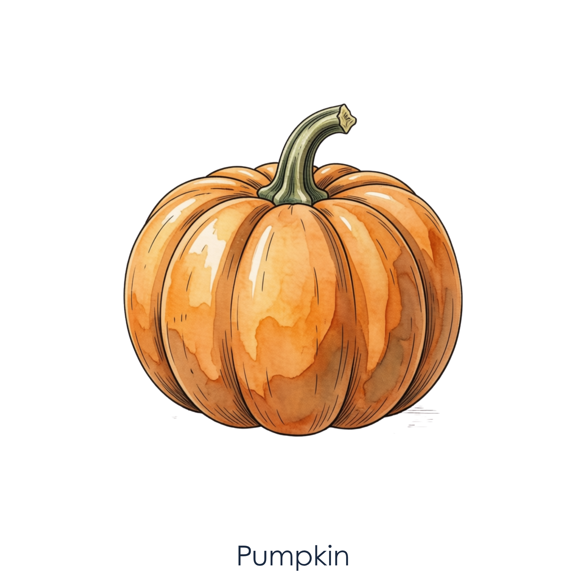 Pumpkin.png