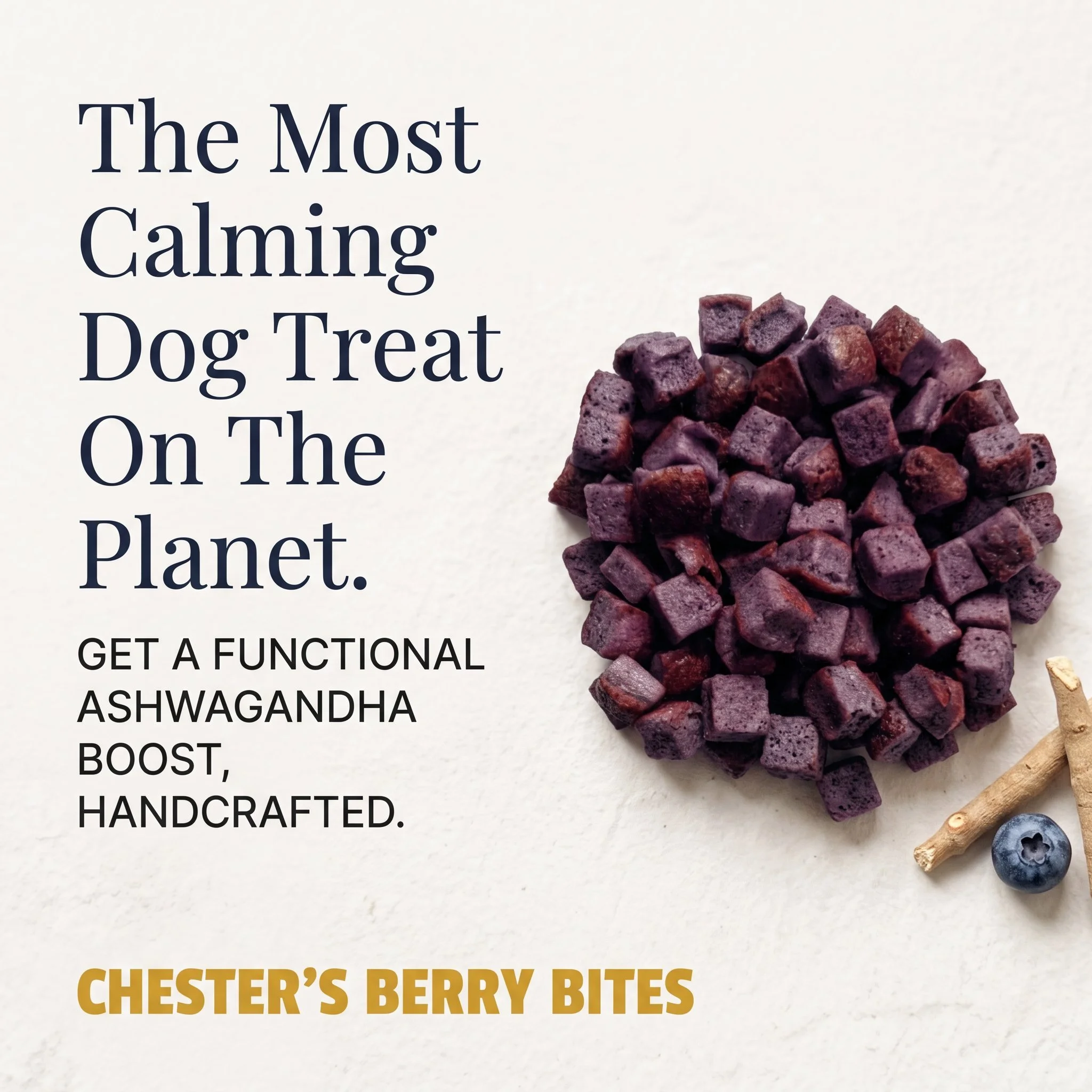 Chesters Treats & Care (118).jpg