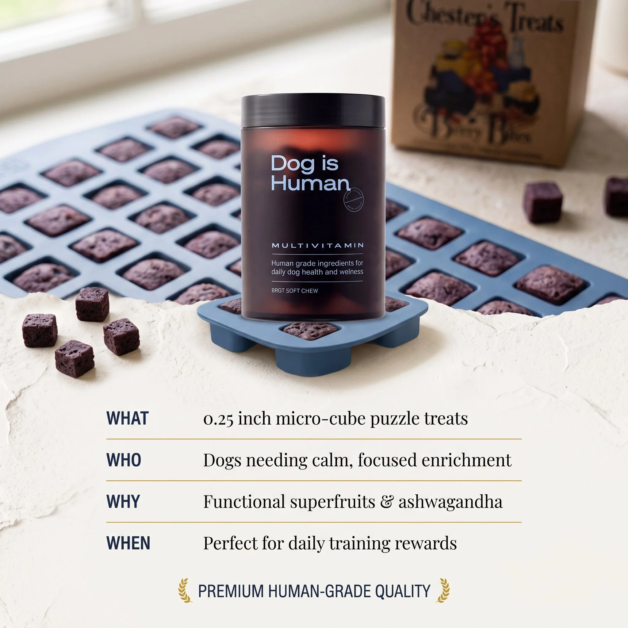 A bottle of dog multivitamin supplement with the label 'Dog is Human' standing on a candy mold with small cube-shaped treats and a box of complementary treats in the background.