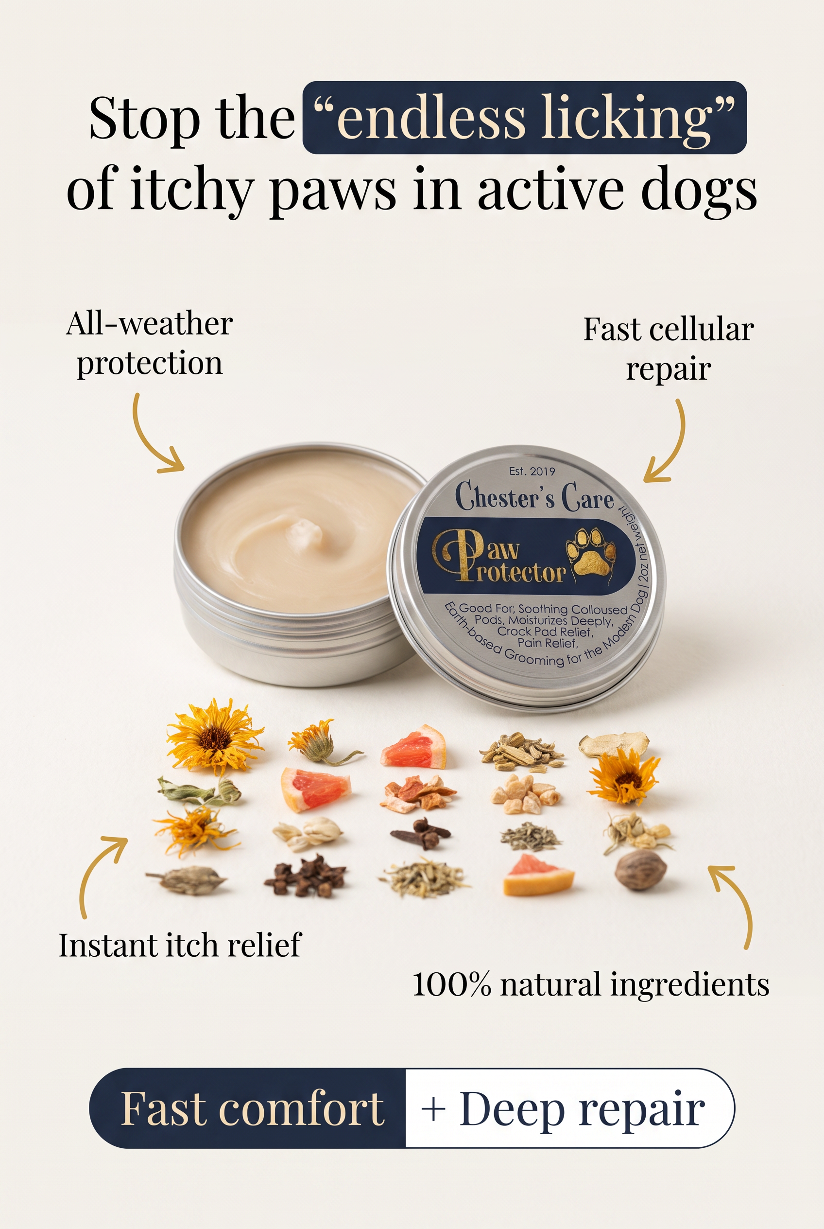Open tin of Chester's Care Paw Protector cream with text promoting its benefits. In front, a variety of natural ingredients like dried flowers, herbs, and root slices are arranged on a white surface, indicating natural ingredients in the product.