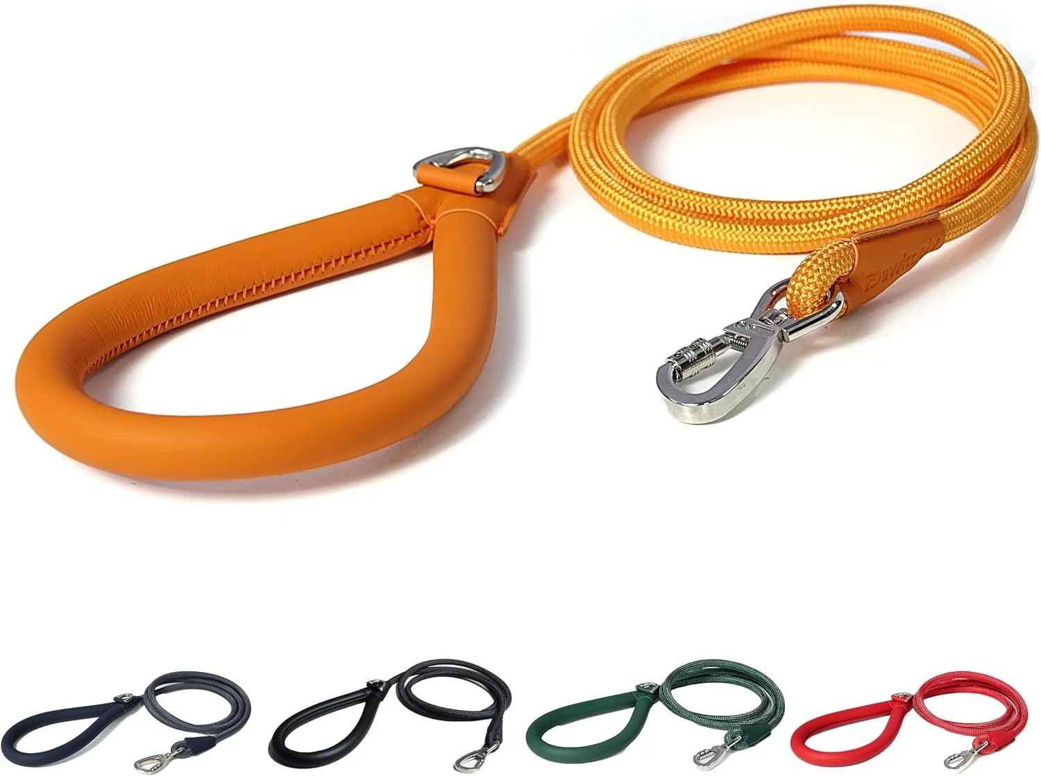 Chesters Orange Leash e.jpg