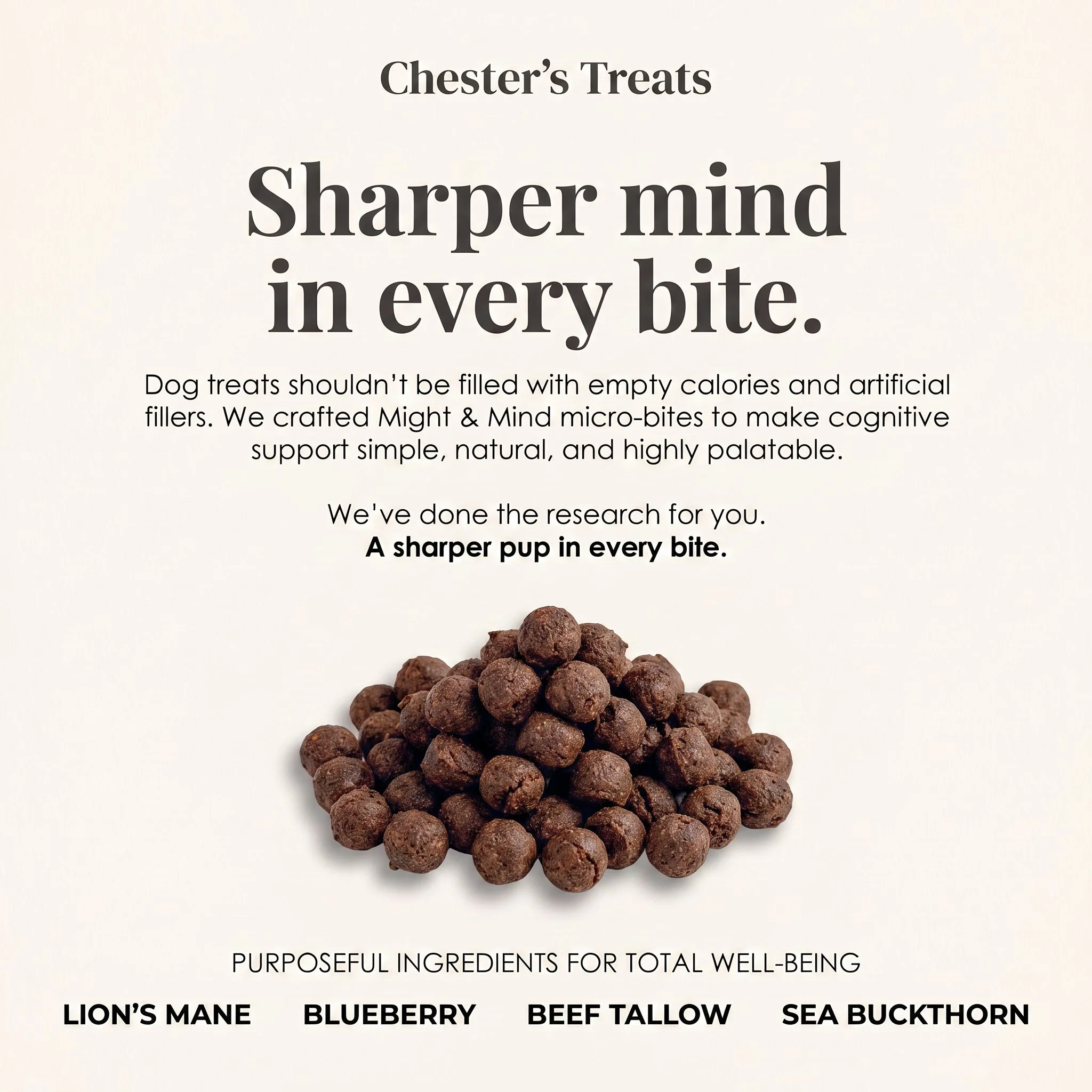 Text and image on a light background promoting dog treats. The text says 'Chester's Treats', 'Sharper mind in every bite', and 'Purposes ingredients for total well-being'. There is an image of a pile of small, round, dark brown dog treats at the bott