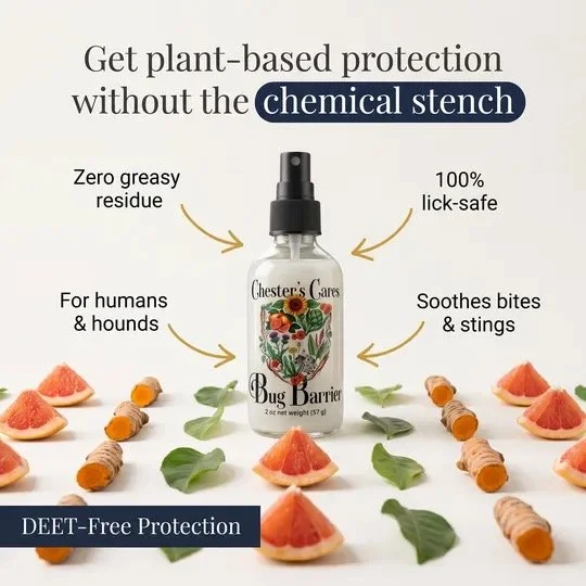 A bottle labeled 'Chester's Cares Bug Barrier' surrounded by grapefruit slices, leaves, and bug repellent sticks. The text highlights plant-based protection benefits like zero greasy residue, 100% lick-safe, soothing bites and stings, and DEET-free p