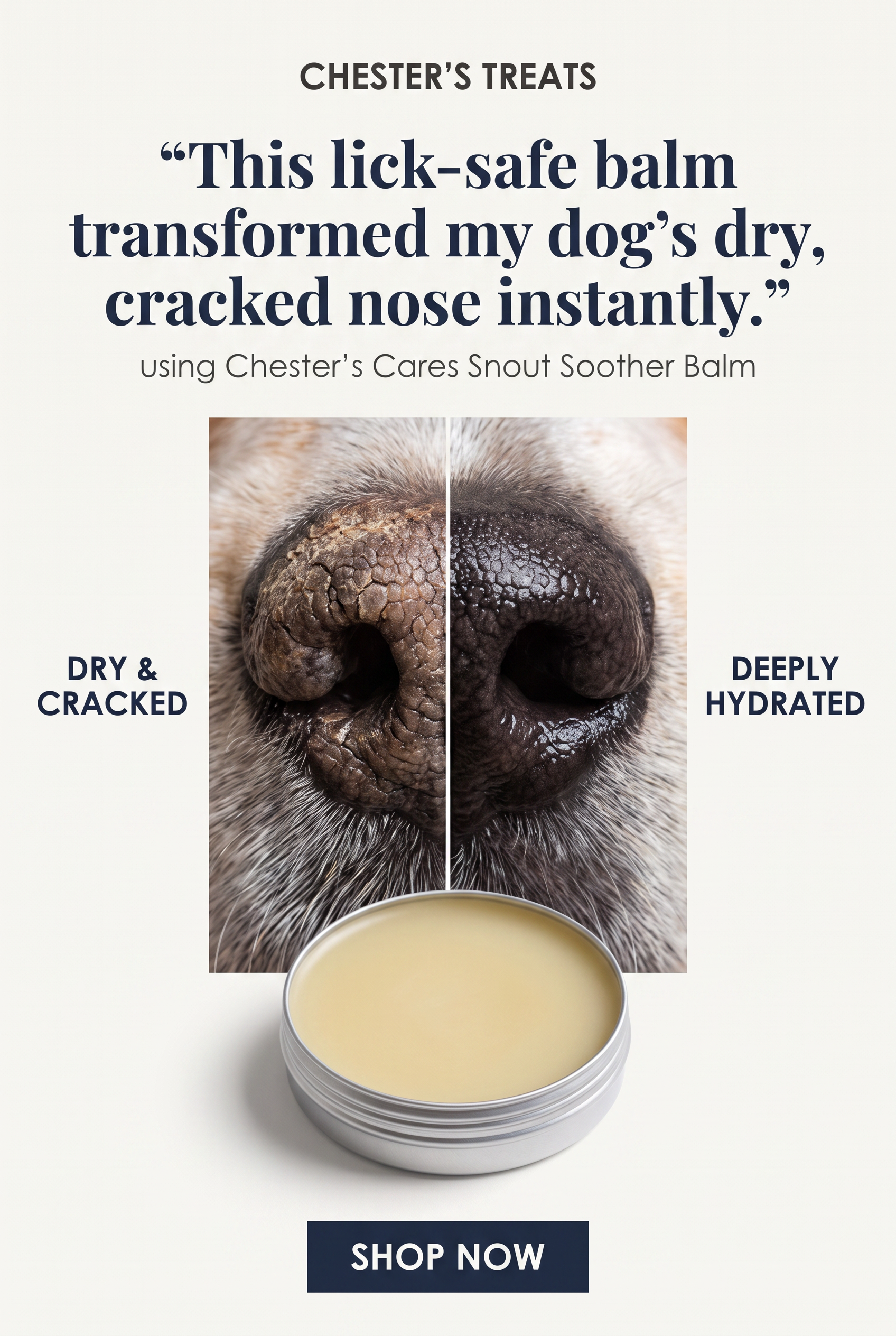 An advertisement for Chester’s Cares Snout Soother Balm featuring a comparison of a dog's nose before and after applying the balm. The left side shows a dry, cracked nose labeled 'Dry & Cracked,' and the right side shows a deeply hydrated nose labele
