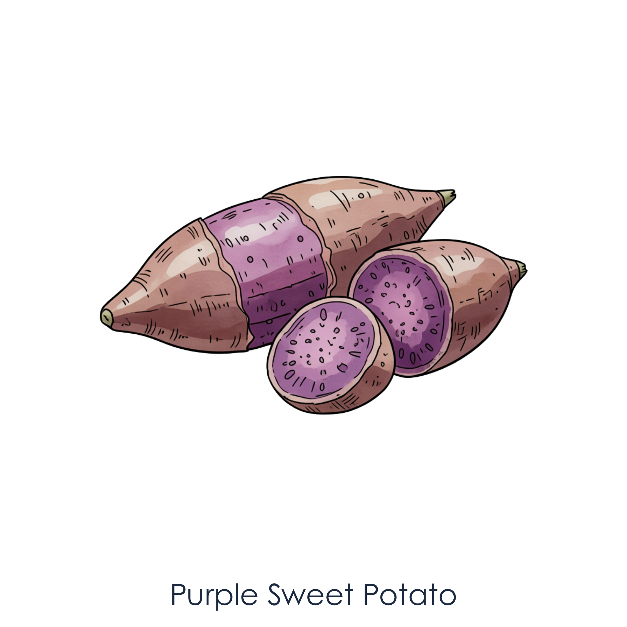 Purple Sweet Potato.png