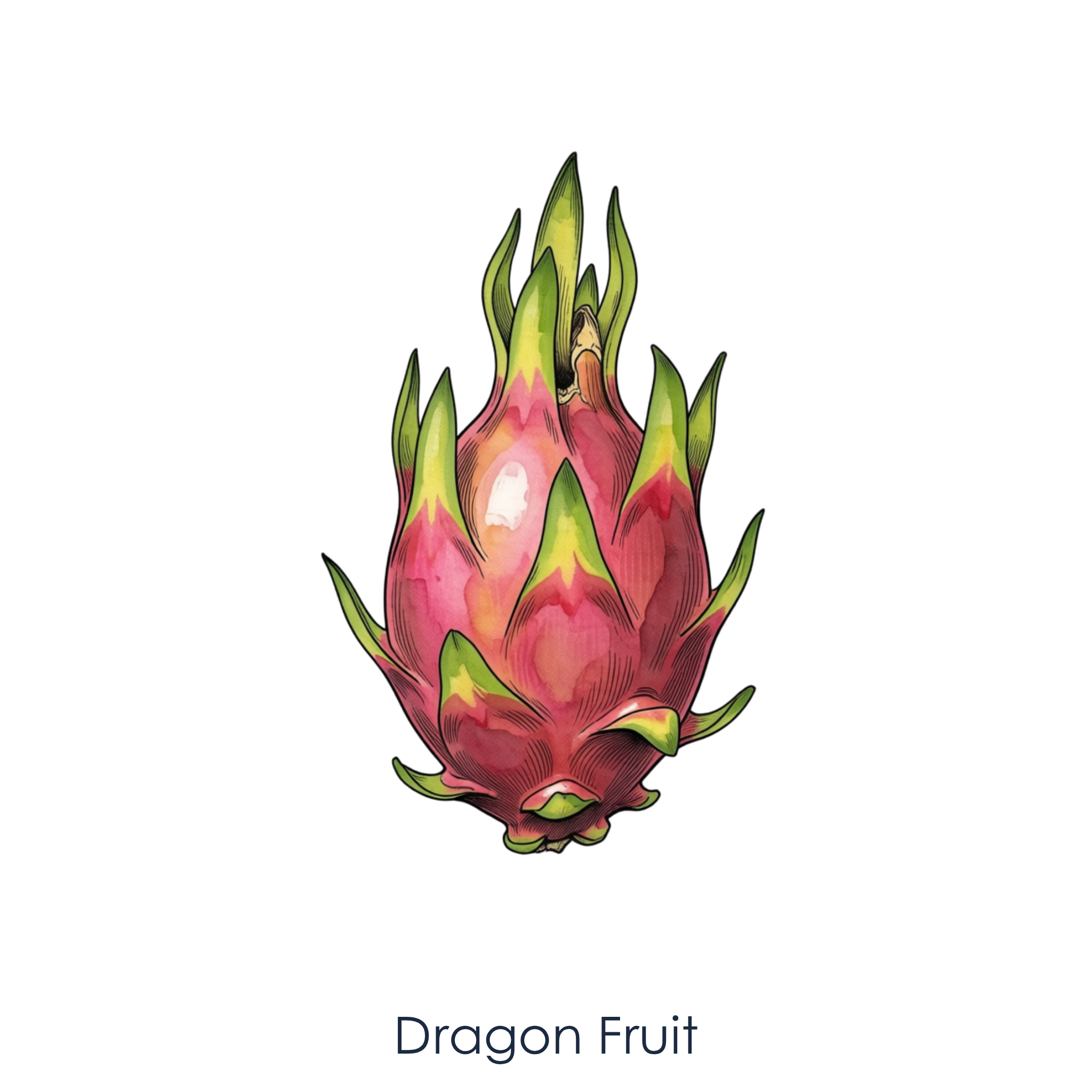 Dragon fruit.png