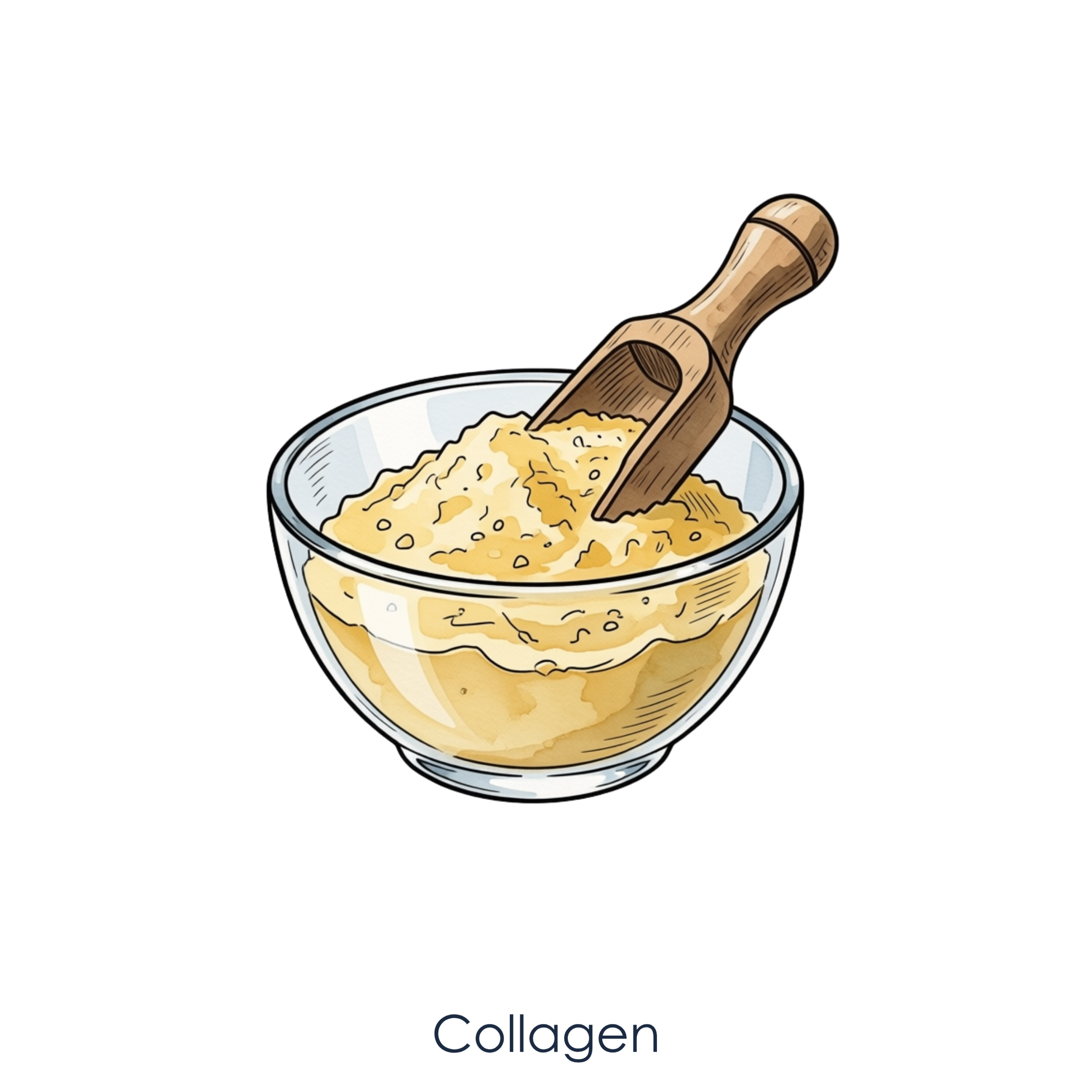 Collagen (1).png