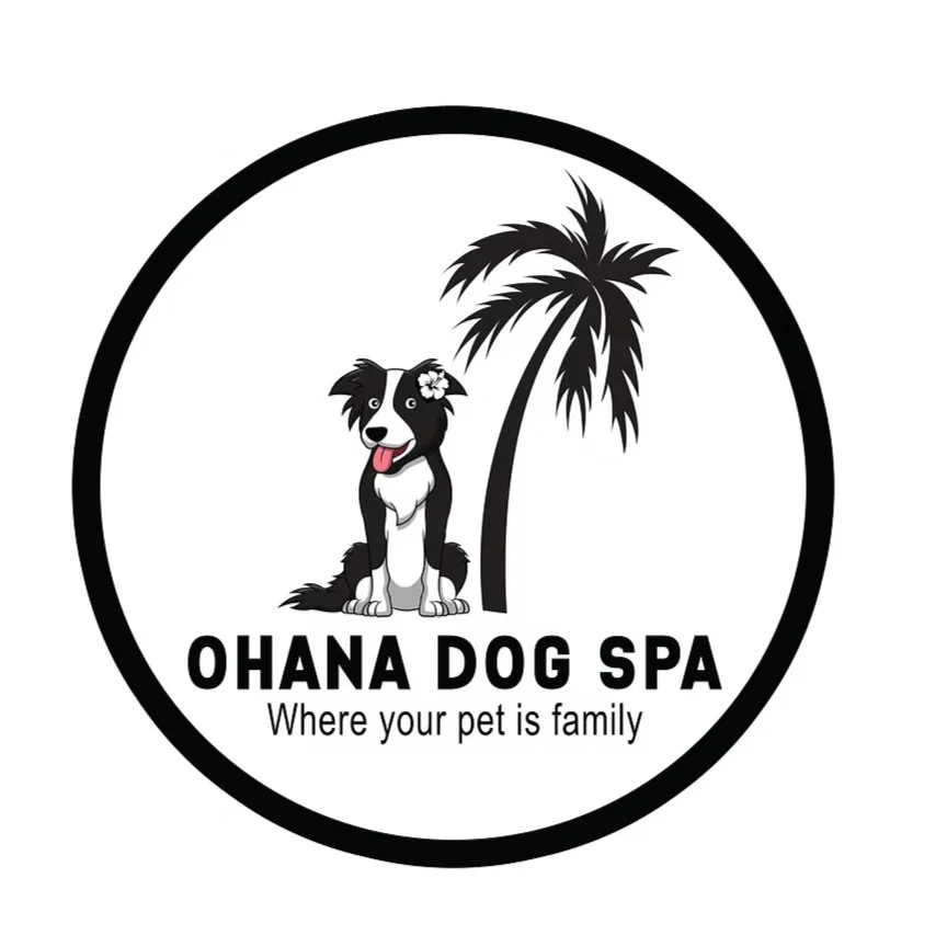 CHESTERS-PARTNERS-LOGOS