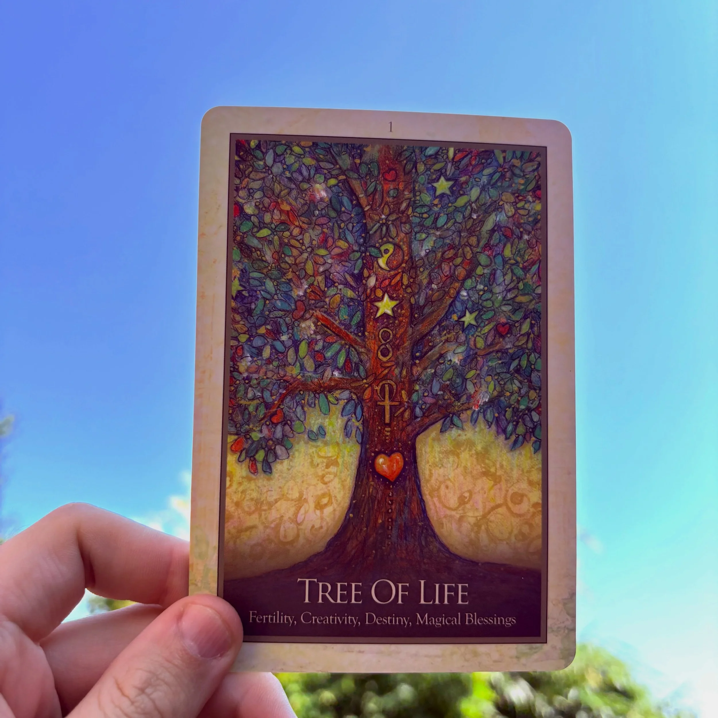 Have you felt like you have been struggling for a long time? 🌿 If this message found you, your weekly guidance is here! ✨

This week&rsquo;s card is the Tree of Life. The beautiful tree depicted on this card represents your own life&rsquo;s journey.