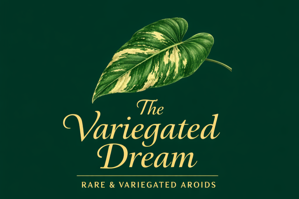 The Variegated Dream