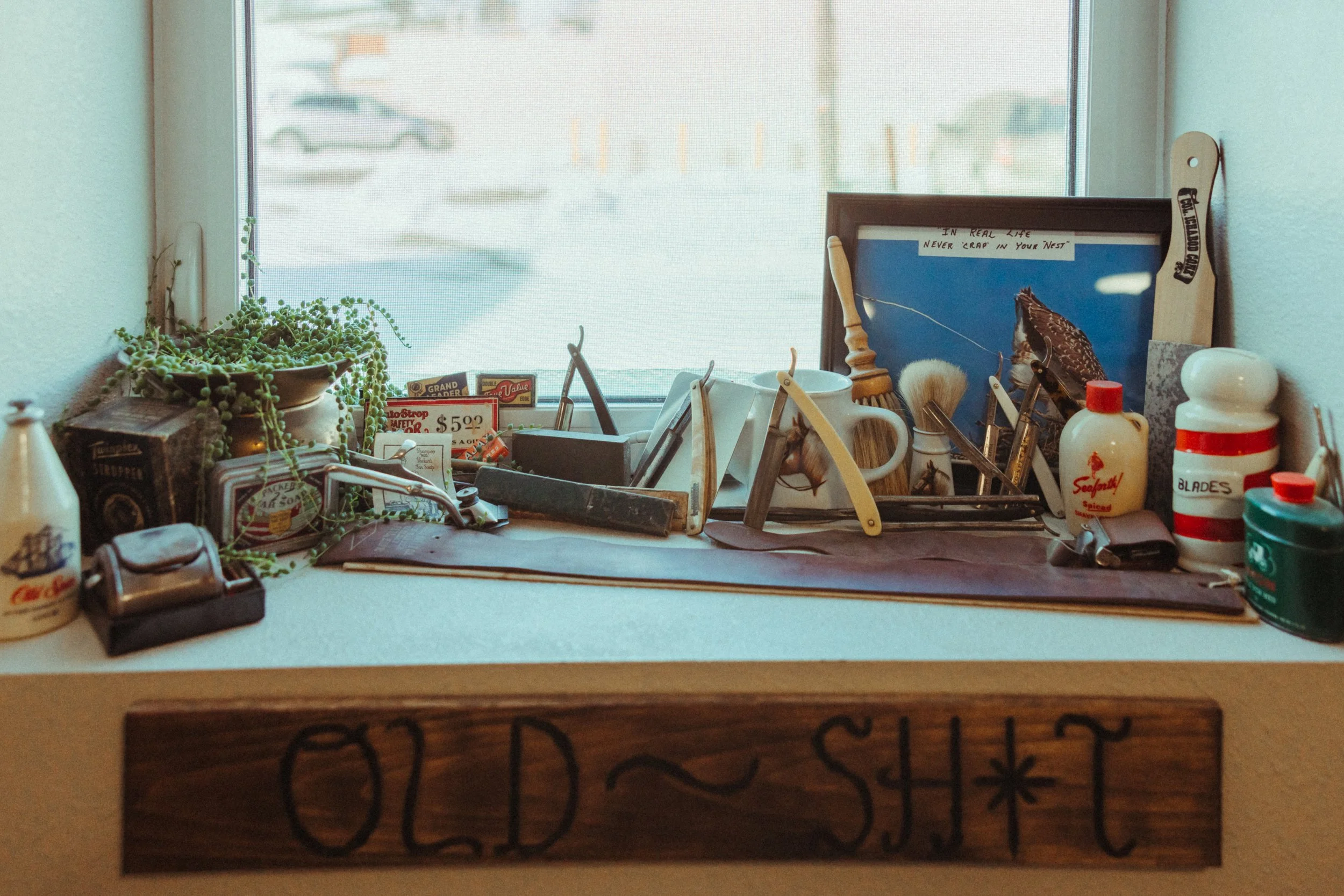 A cluttered windowsill with items including a green potted succulent, various bottles, a framed photo with a bird, and miscellaneous small objects.