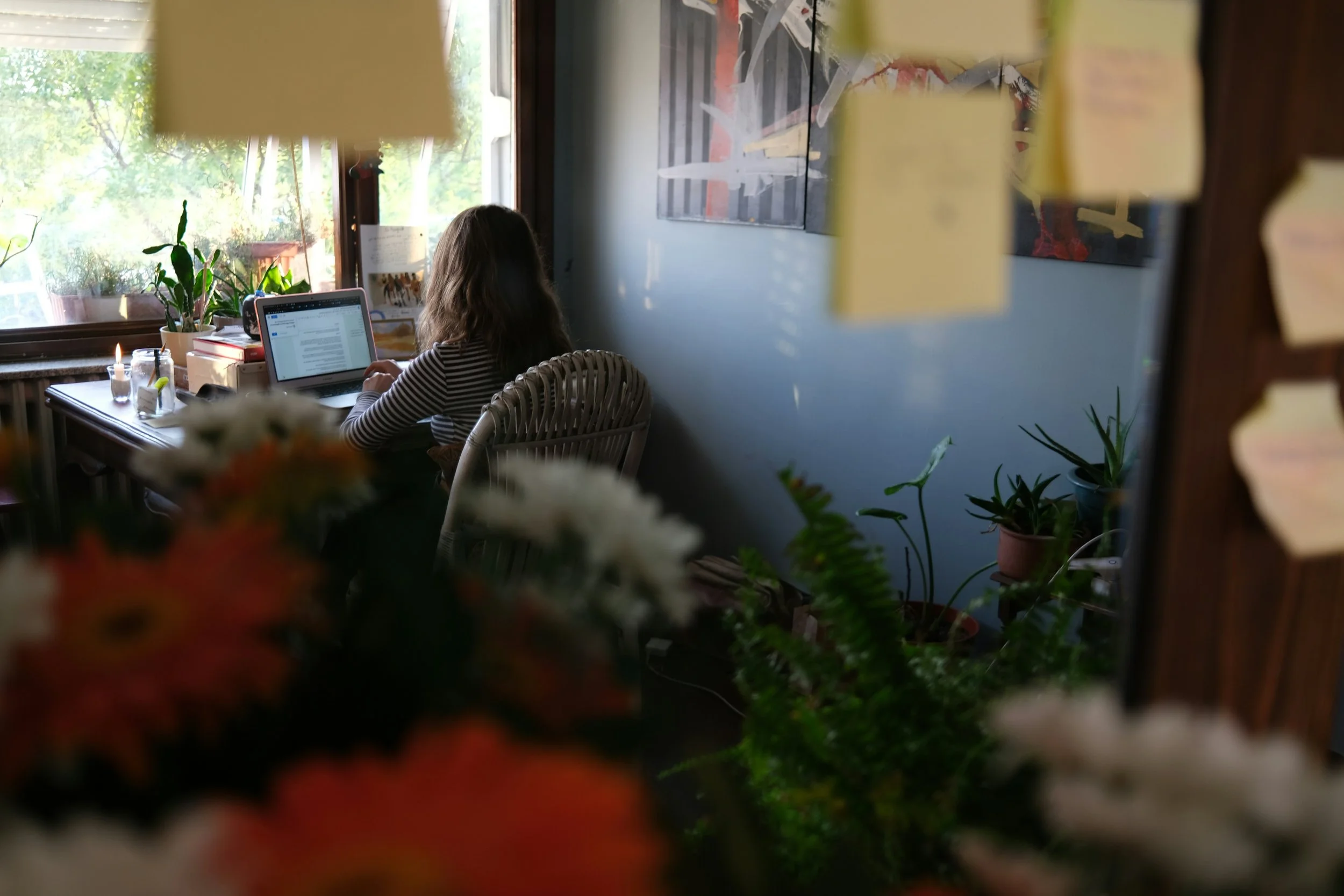 A person with long hair sitting at a desk with a laptop, surrounded by potted plants, in a room with a large window letting in natural light.