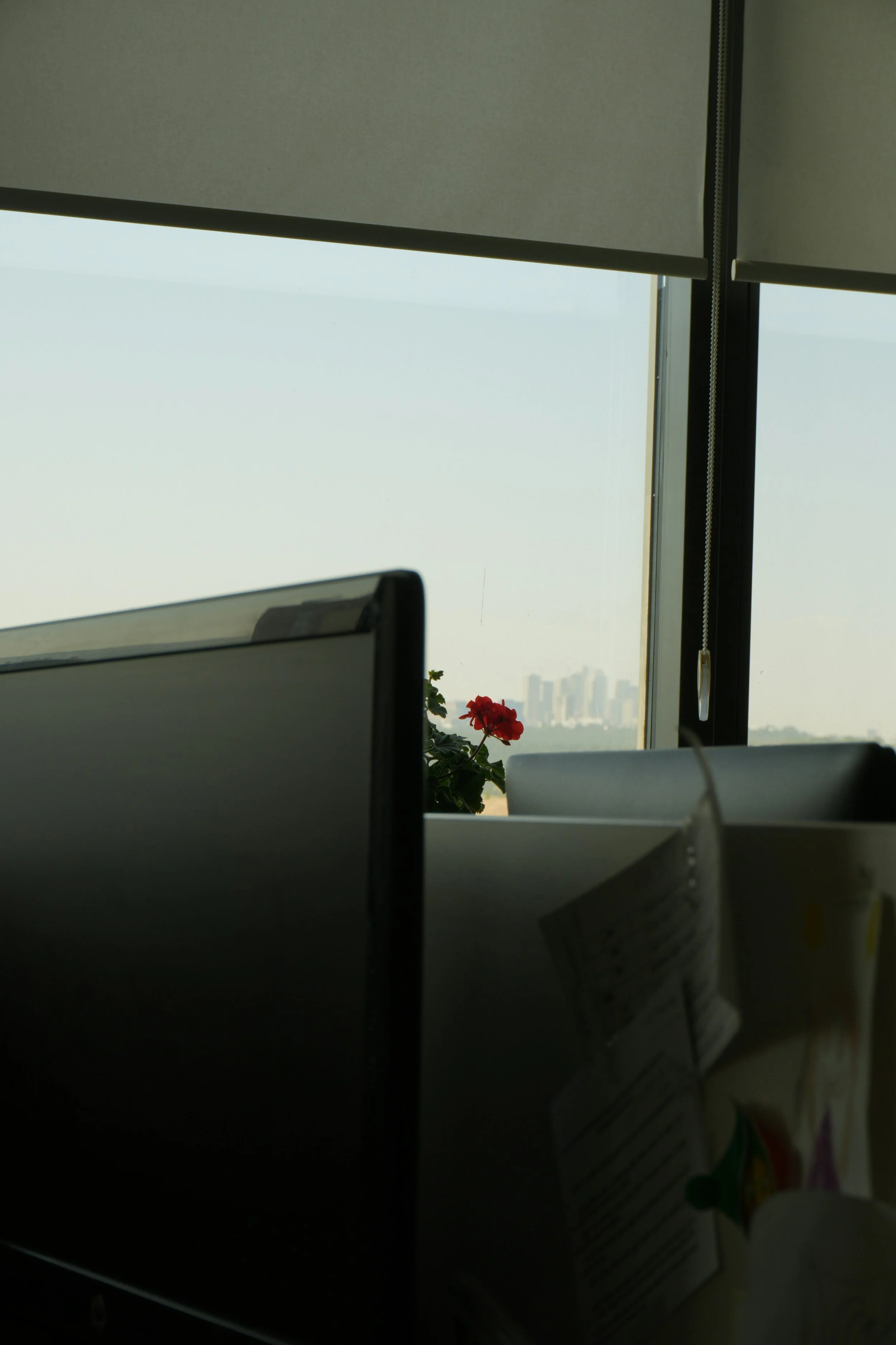 Office desk with two computer monitors, a potted plant with red flowers, and papers, beside a window with closed blinds, city skyline outside.